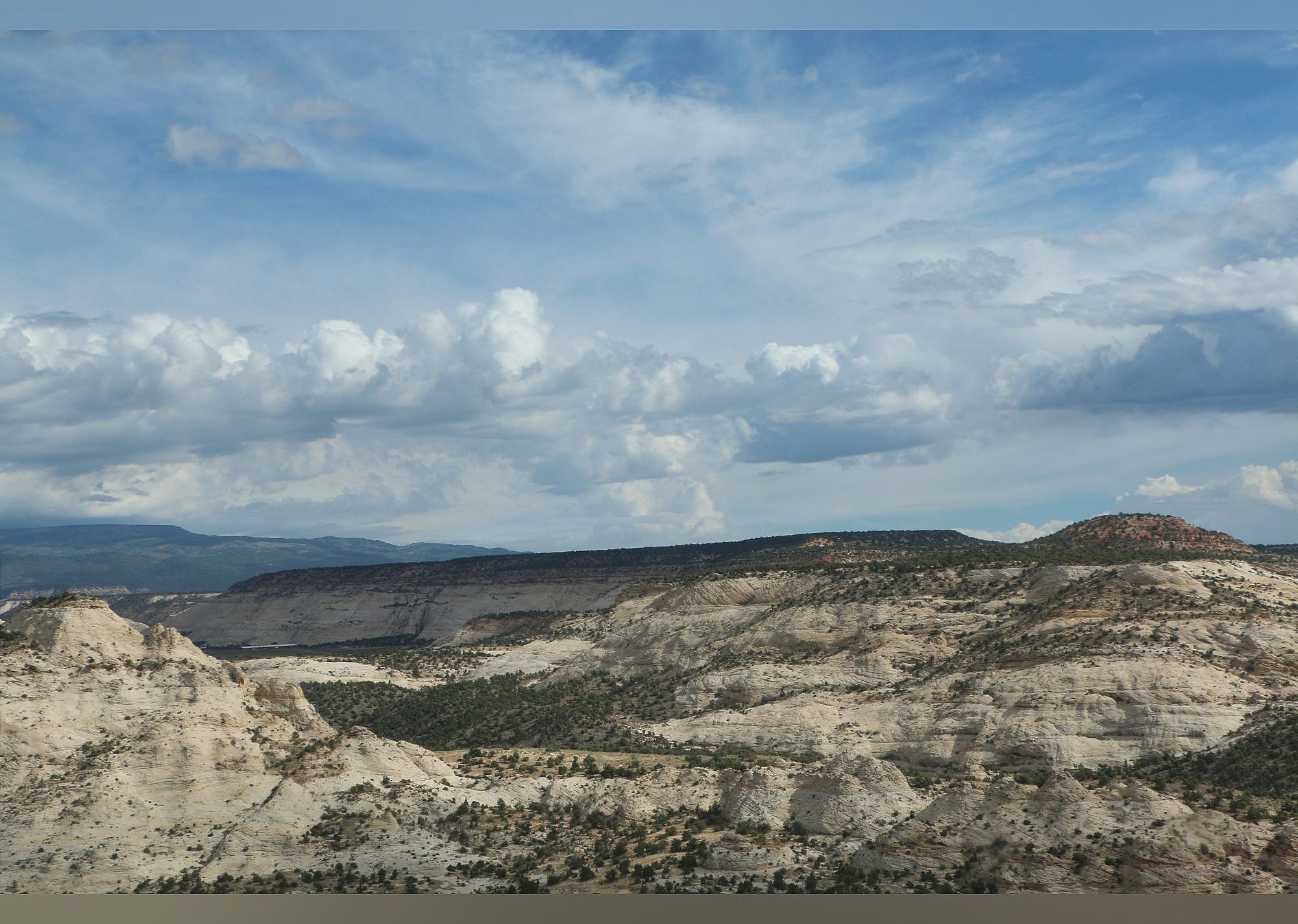 #23. The Hogback