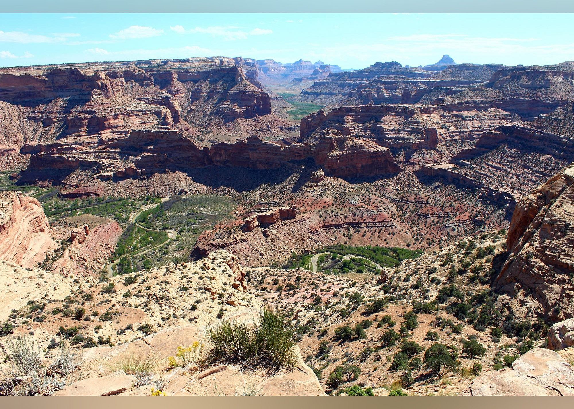#14. Wedge Overlook & Buckhorn Draw Backway