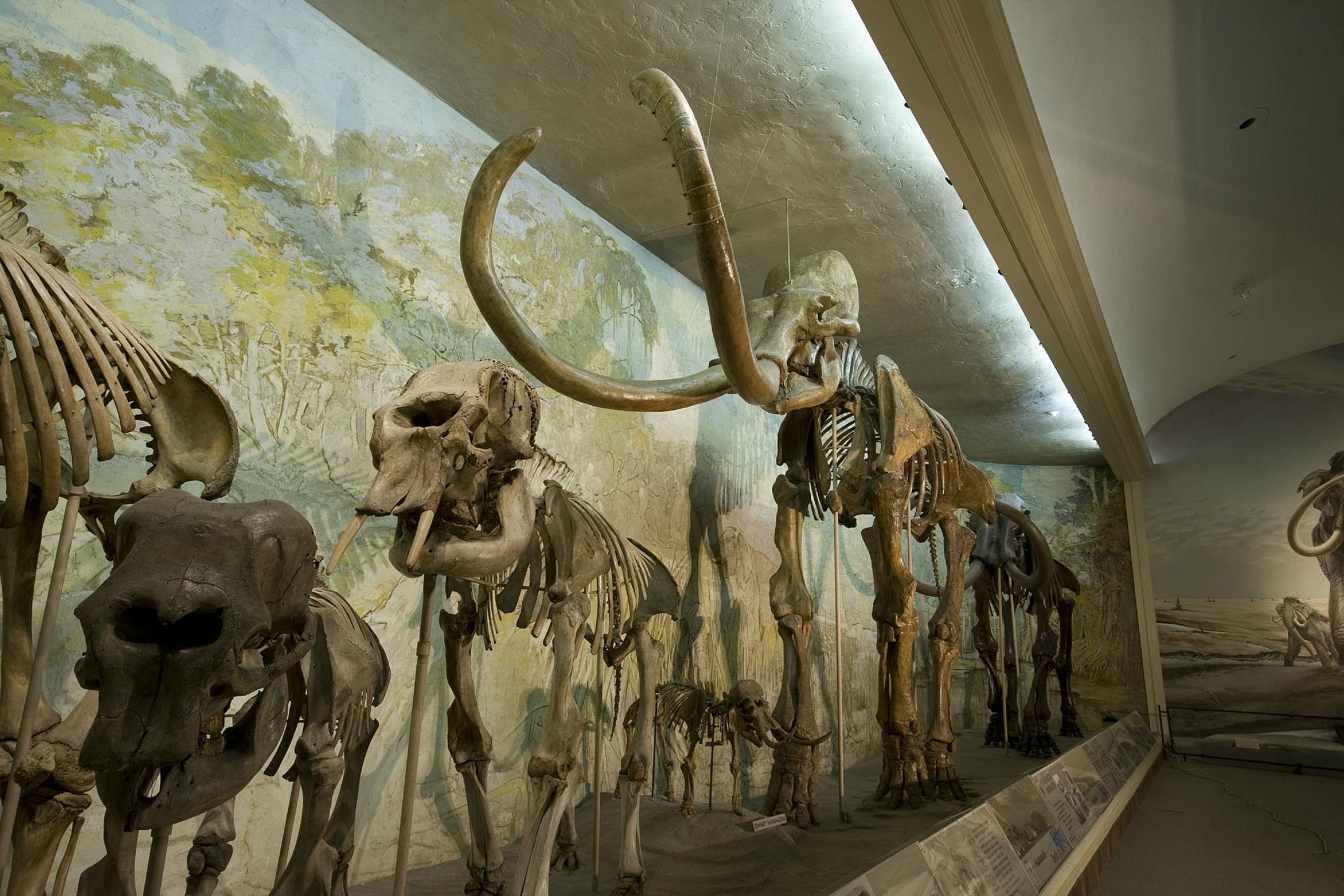 #12. University of Nebraska State Museum