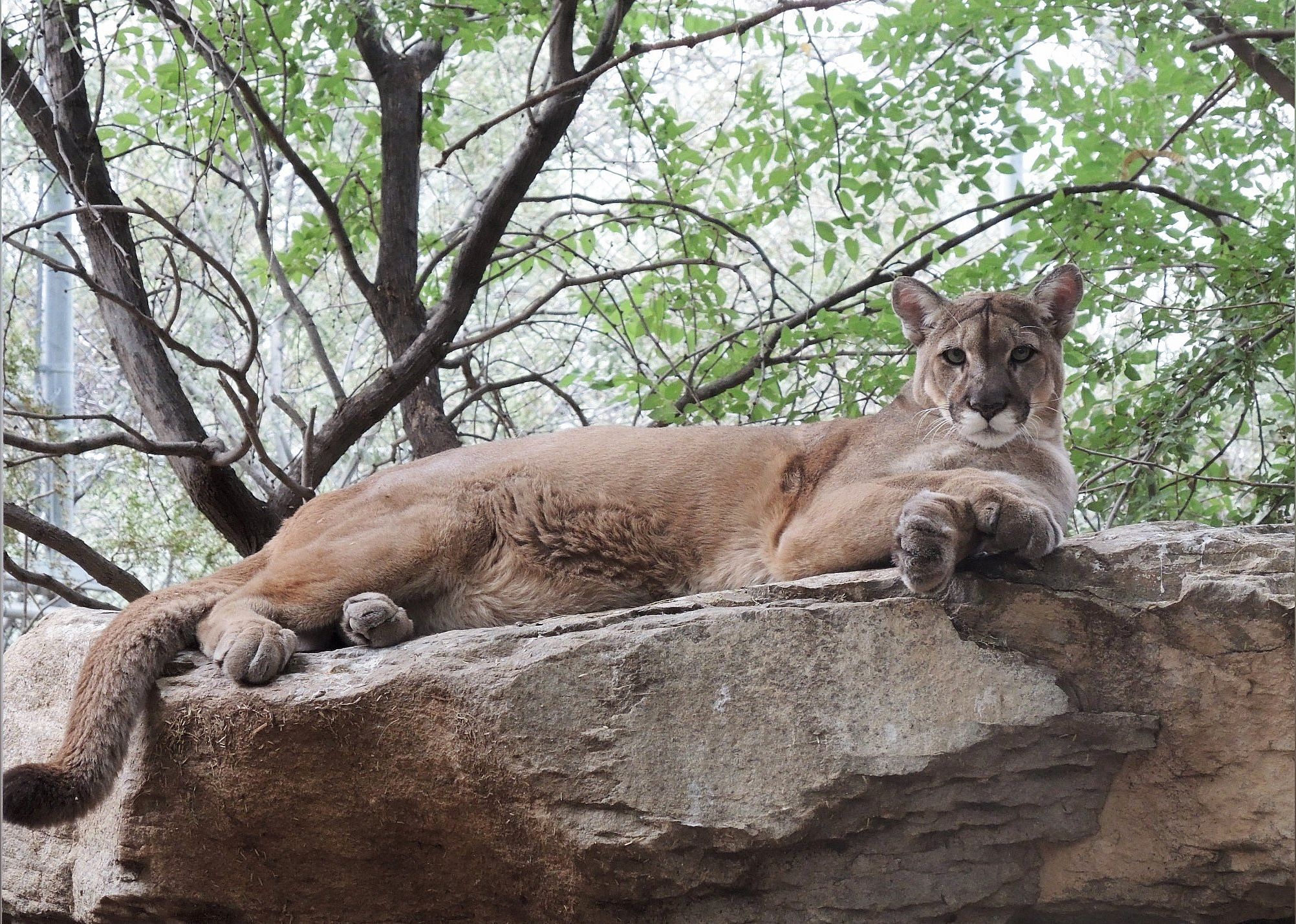 #13. Southwest Wildlife Conservation Center