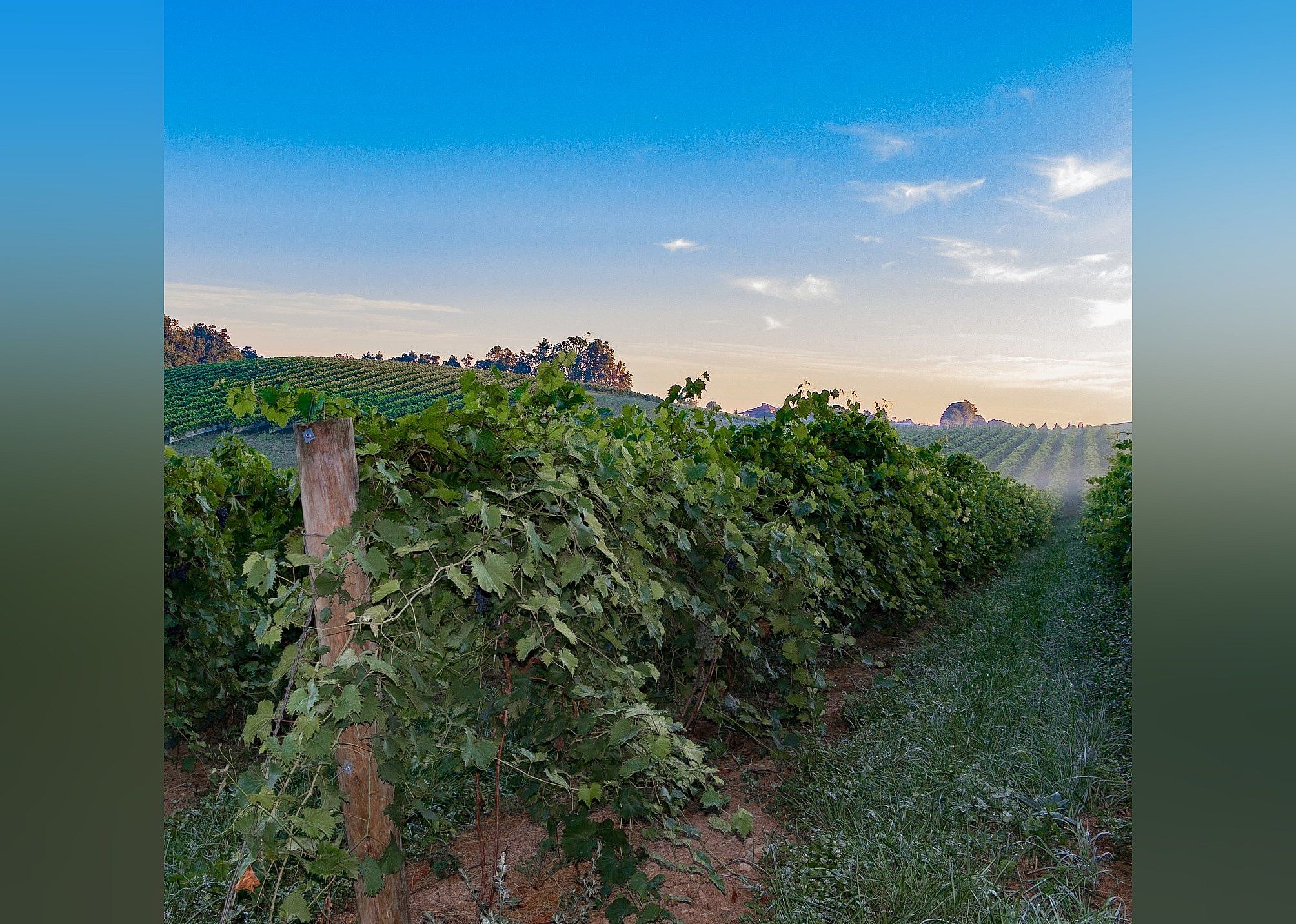 #7. Linganore Winecellars