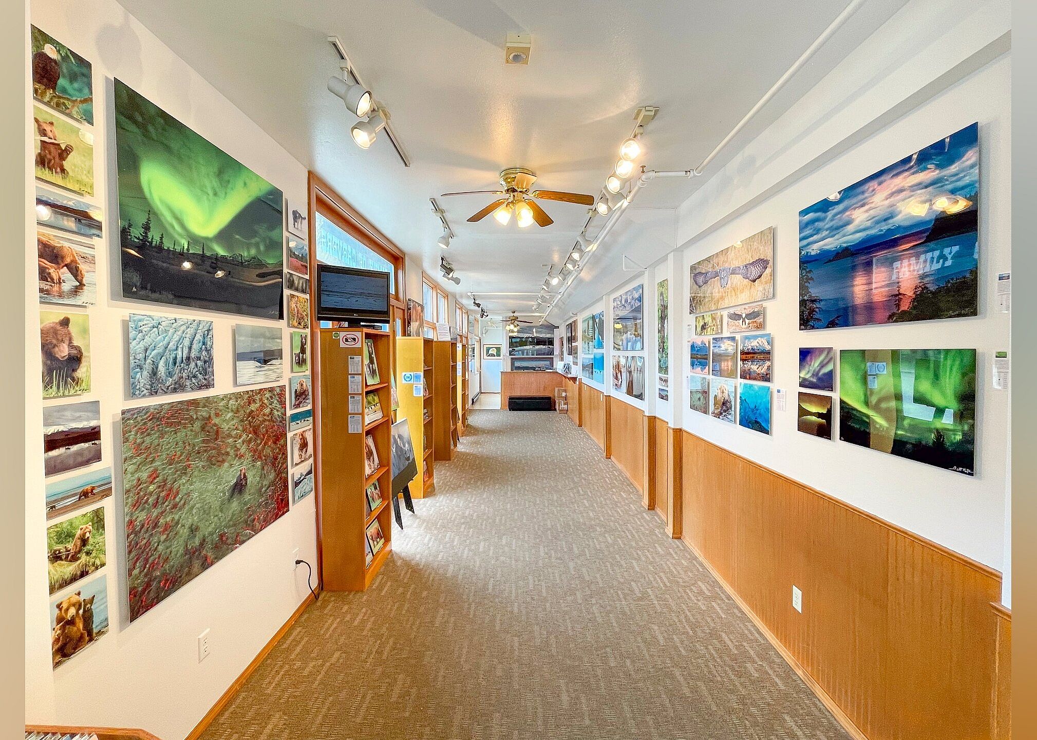 #16. BearHead Photography Gallery