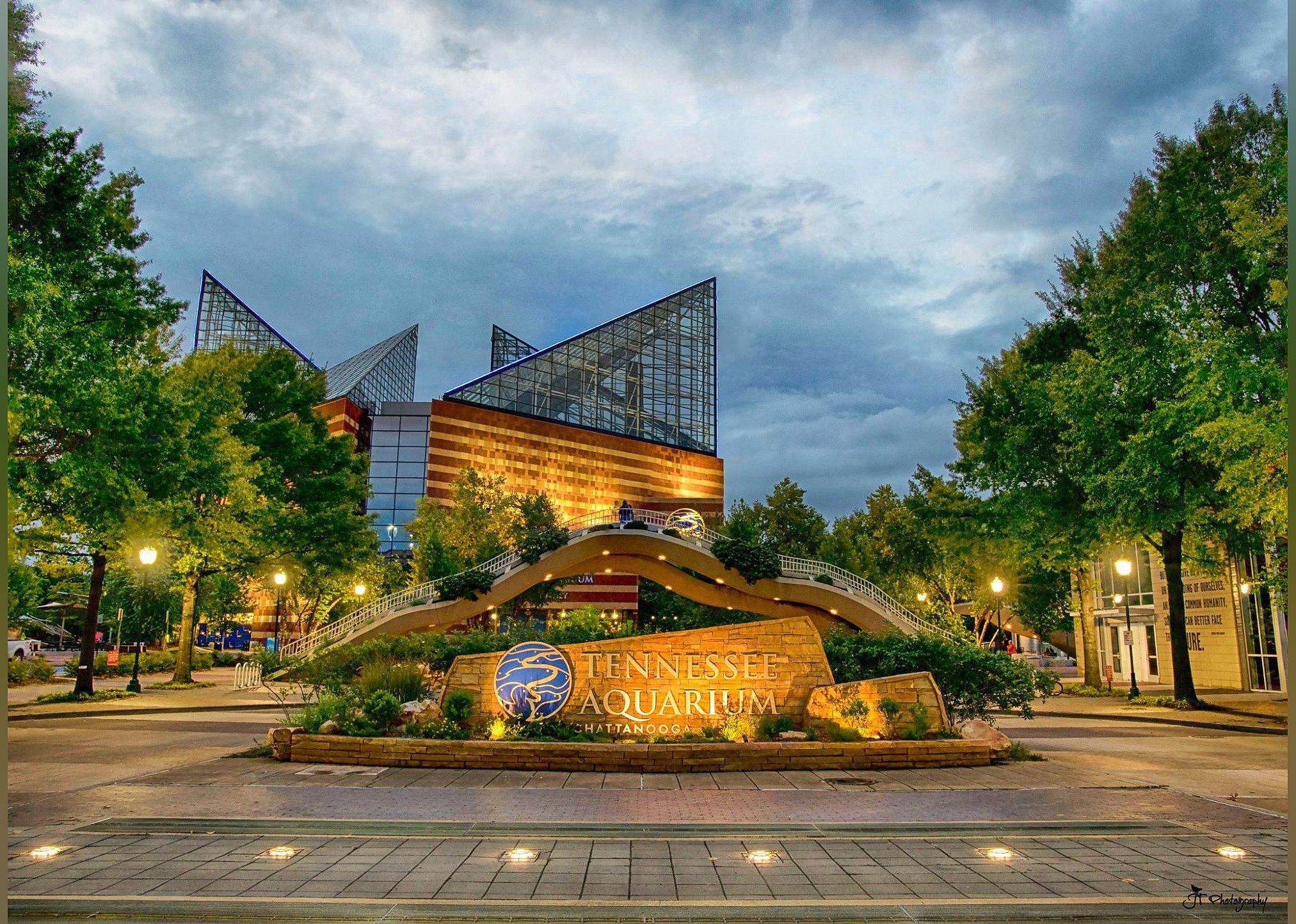 #17. Tennessee Aquarium