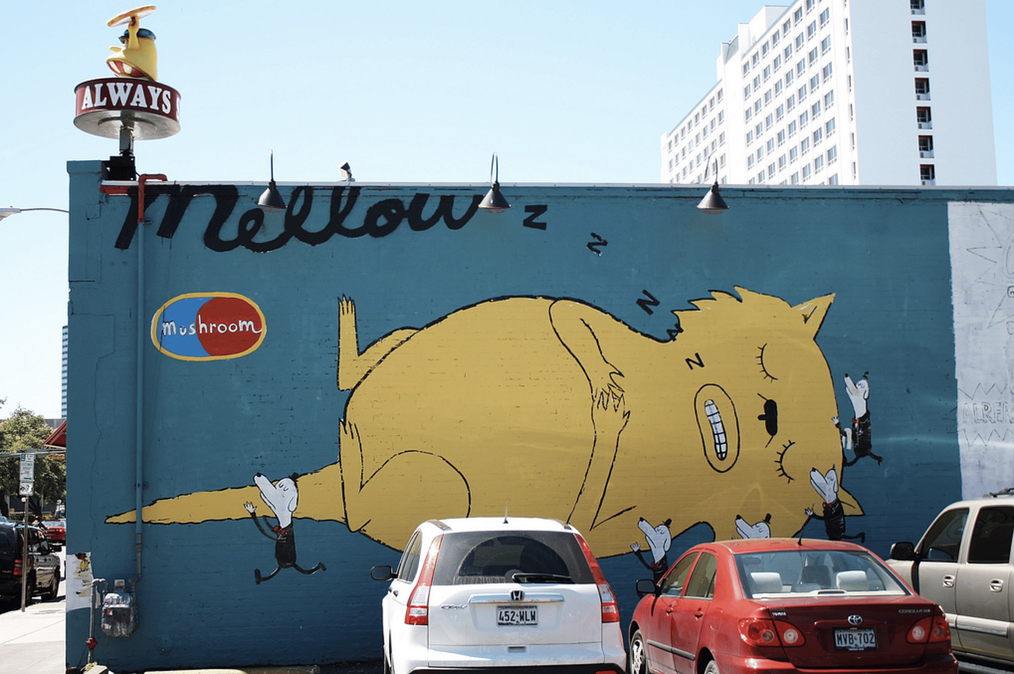 Texas: Mellow Mushroom Pizza