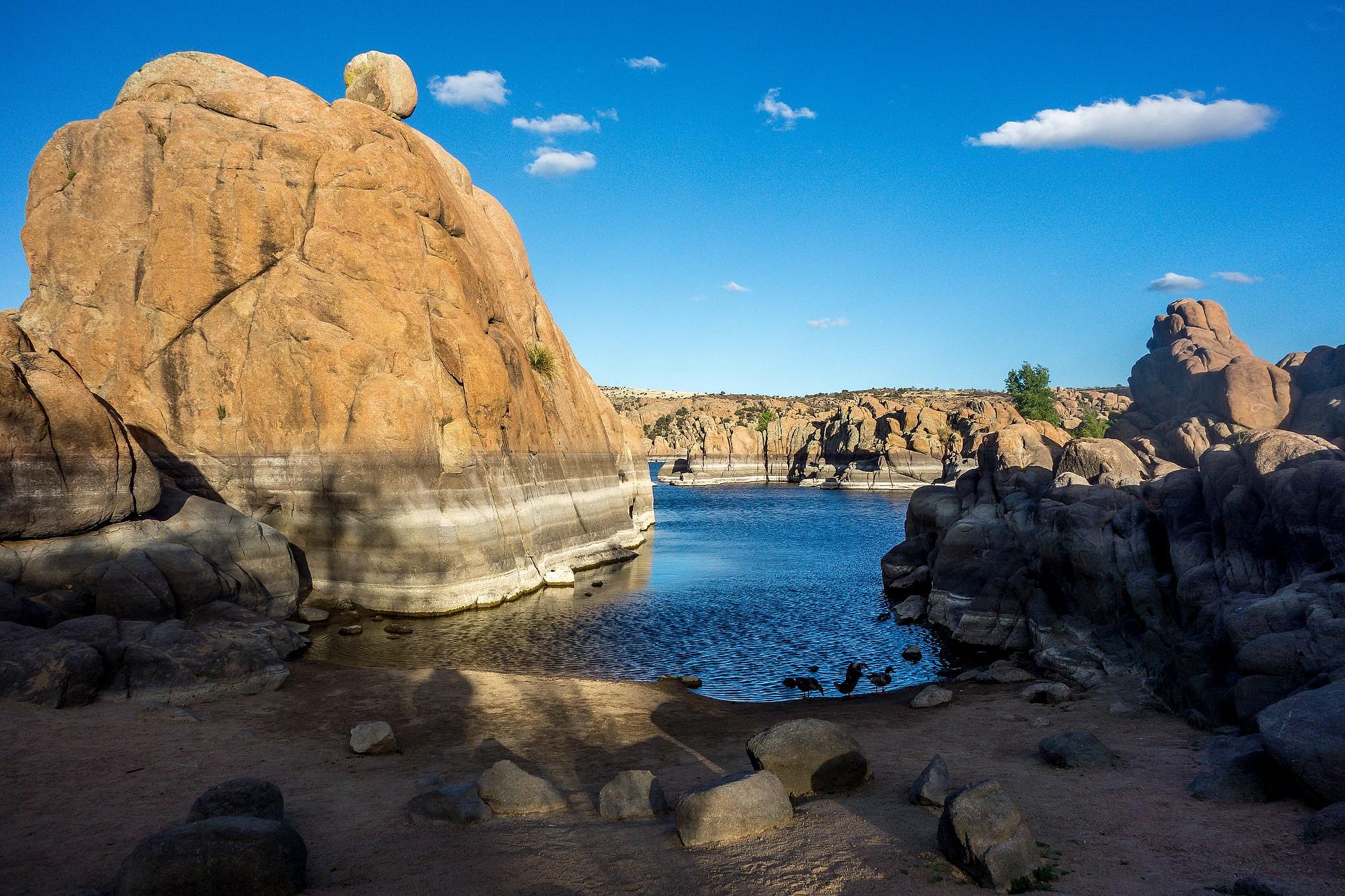 #13. Arizona