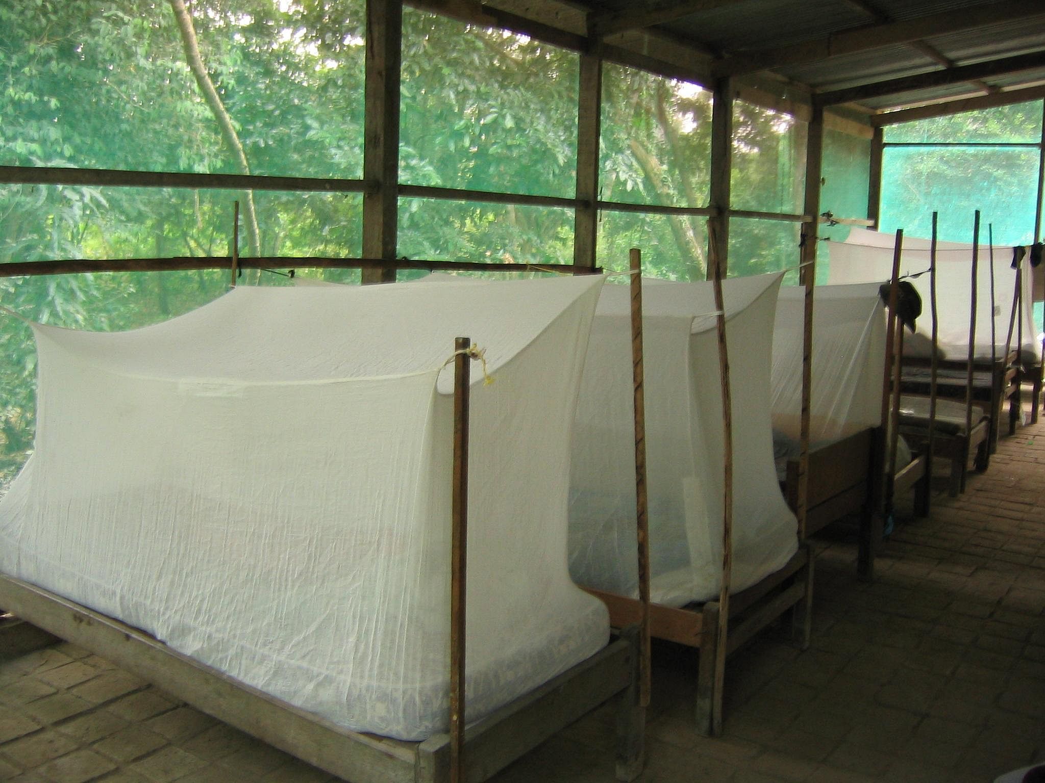 Malaria No More
