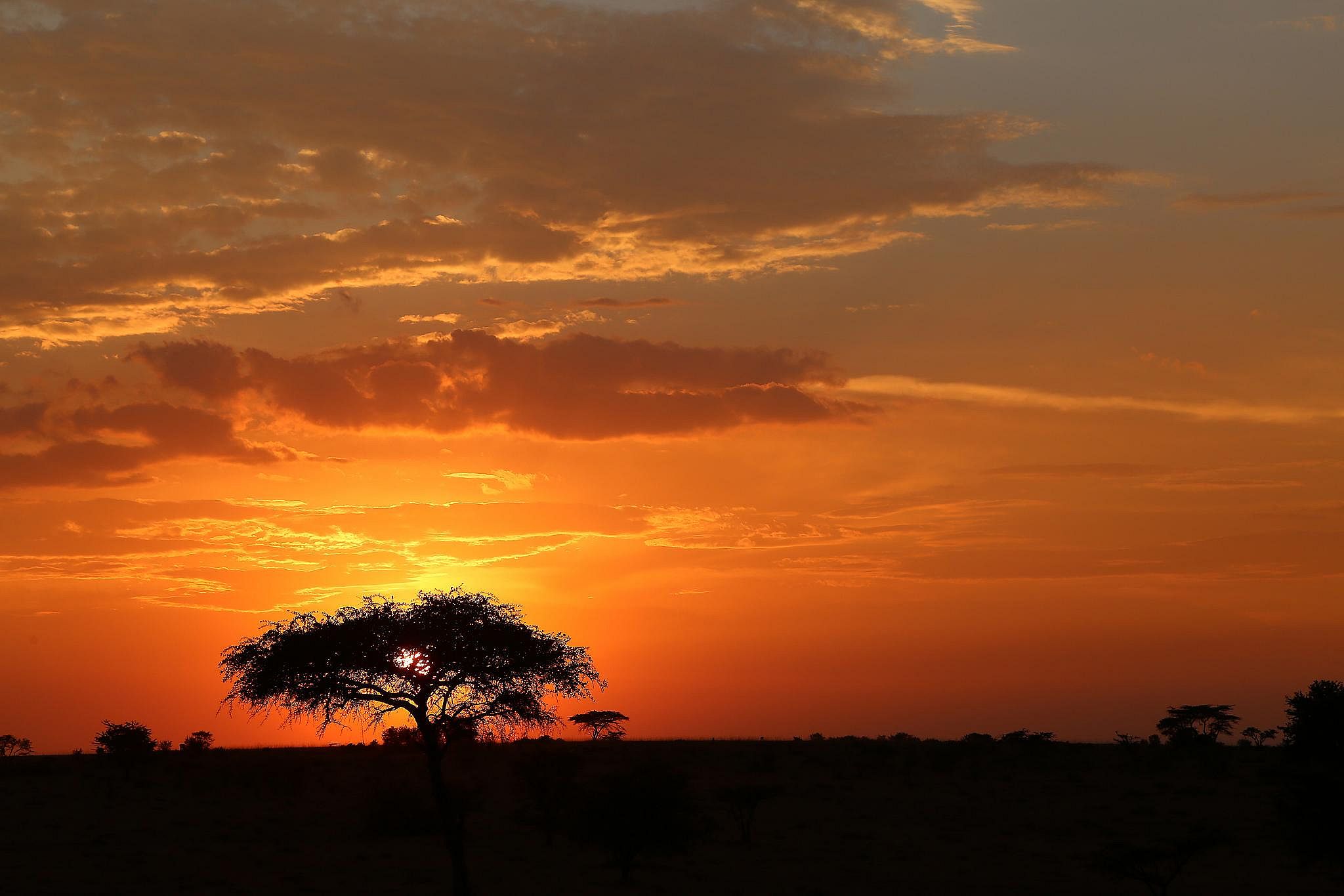 #32. Maasai Mara, Kenya