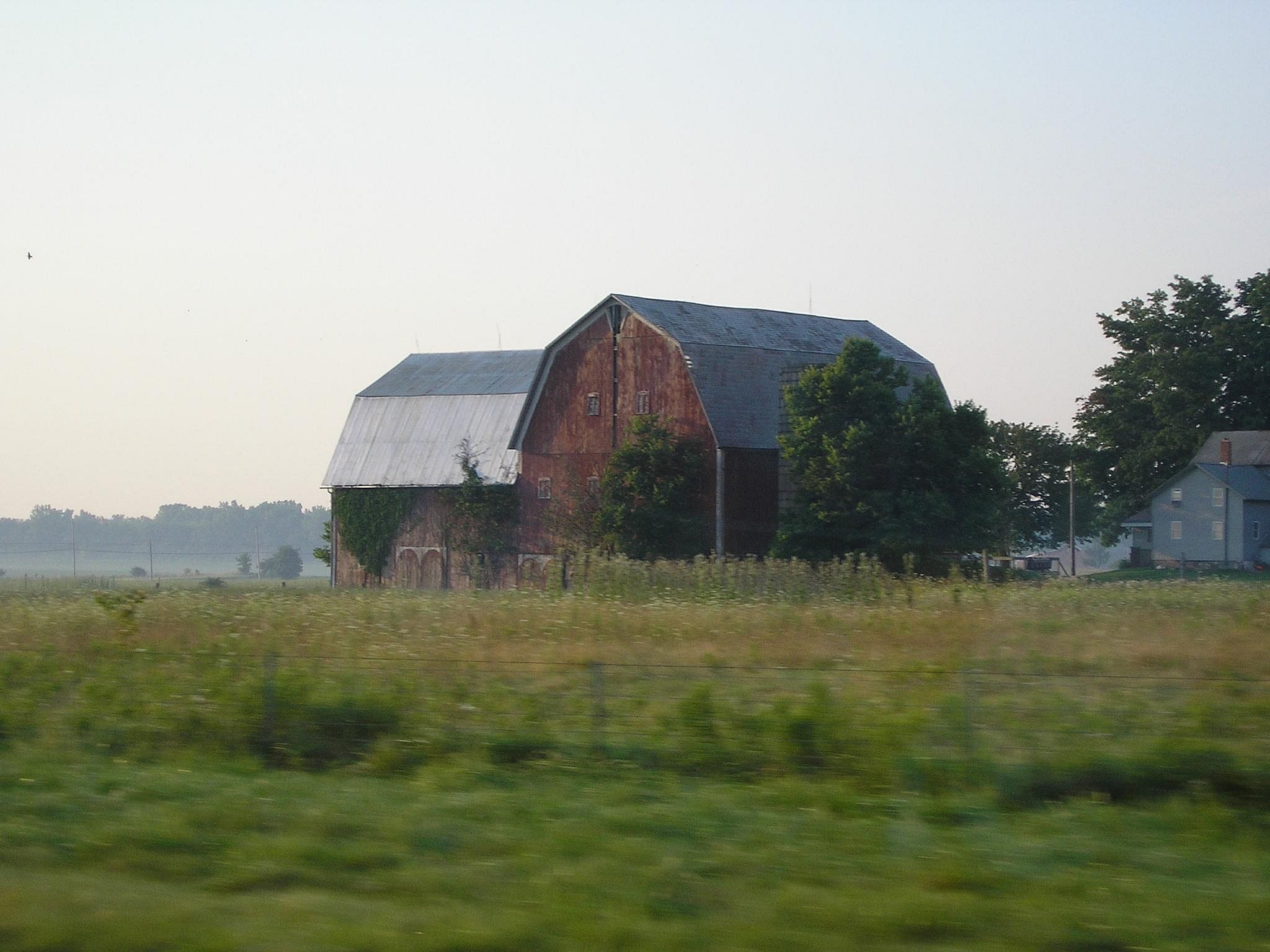 #12. Indiana
