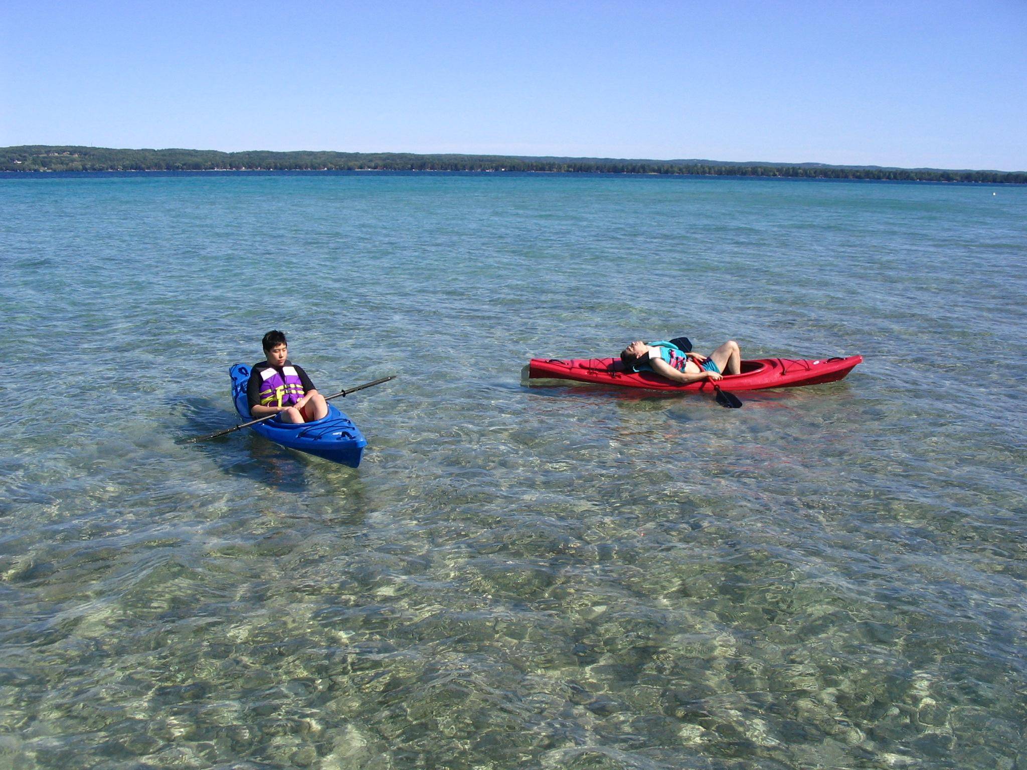 State: Michigan