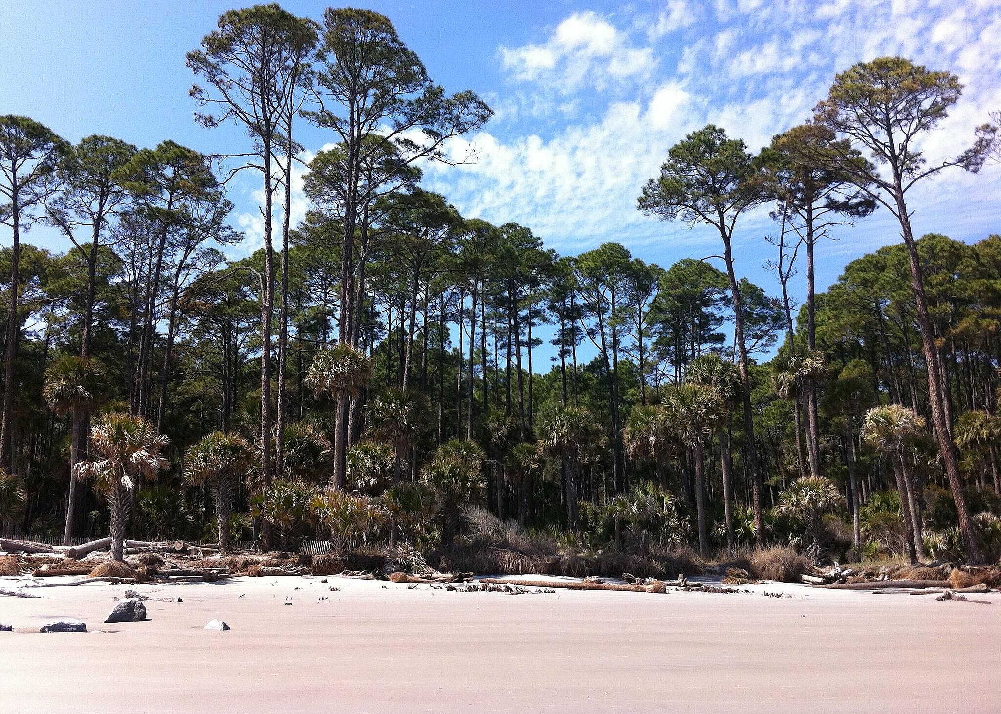 #6. South Carolina