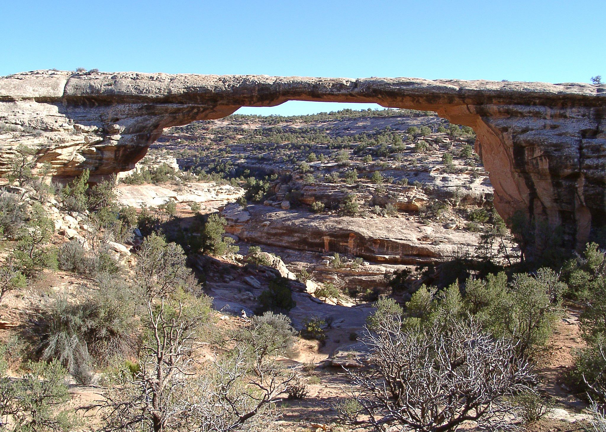 #1. San Juan County