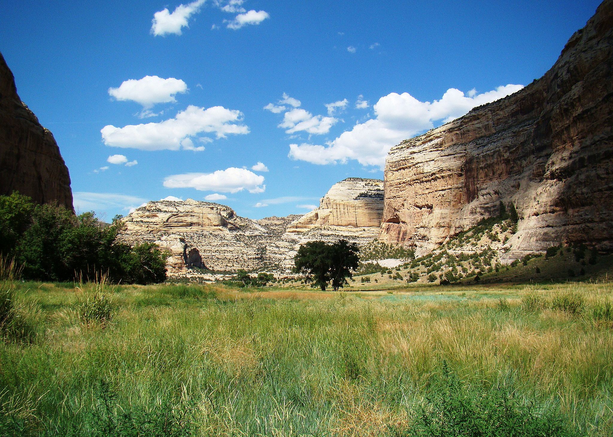 #12. Uintah County