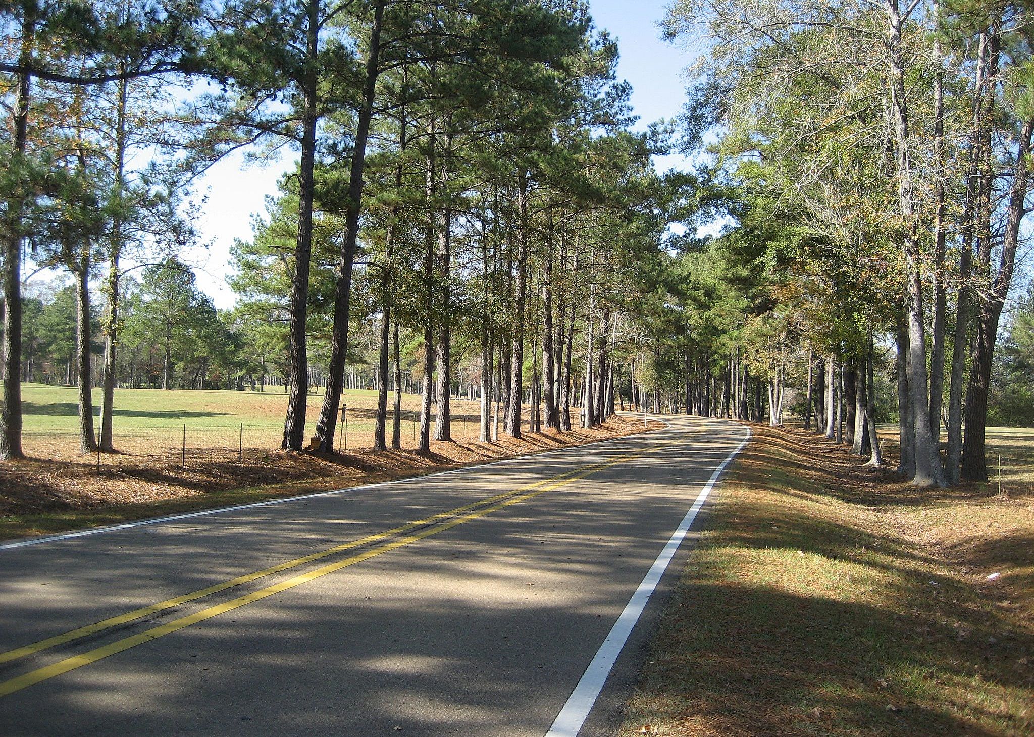 #43. Covington County