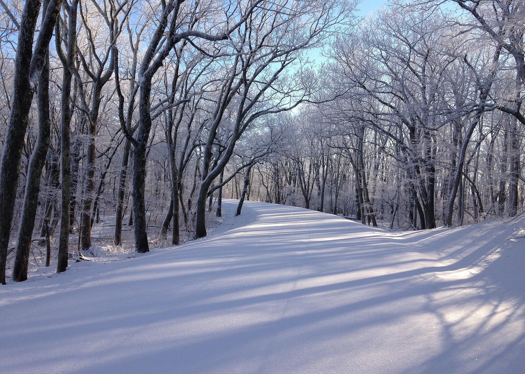 #70. Harrisonburg, Virginia