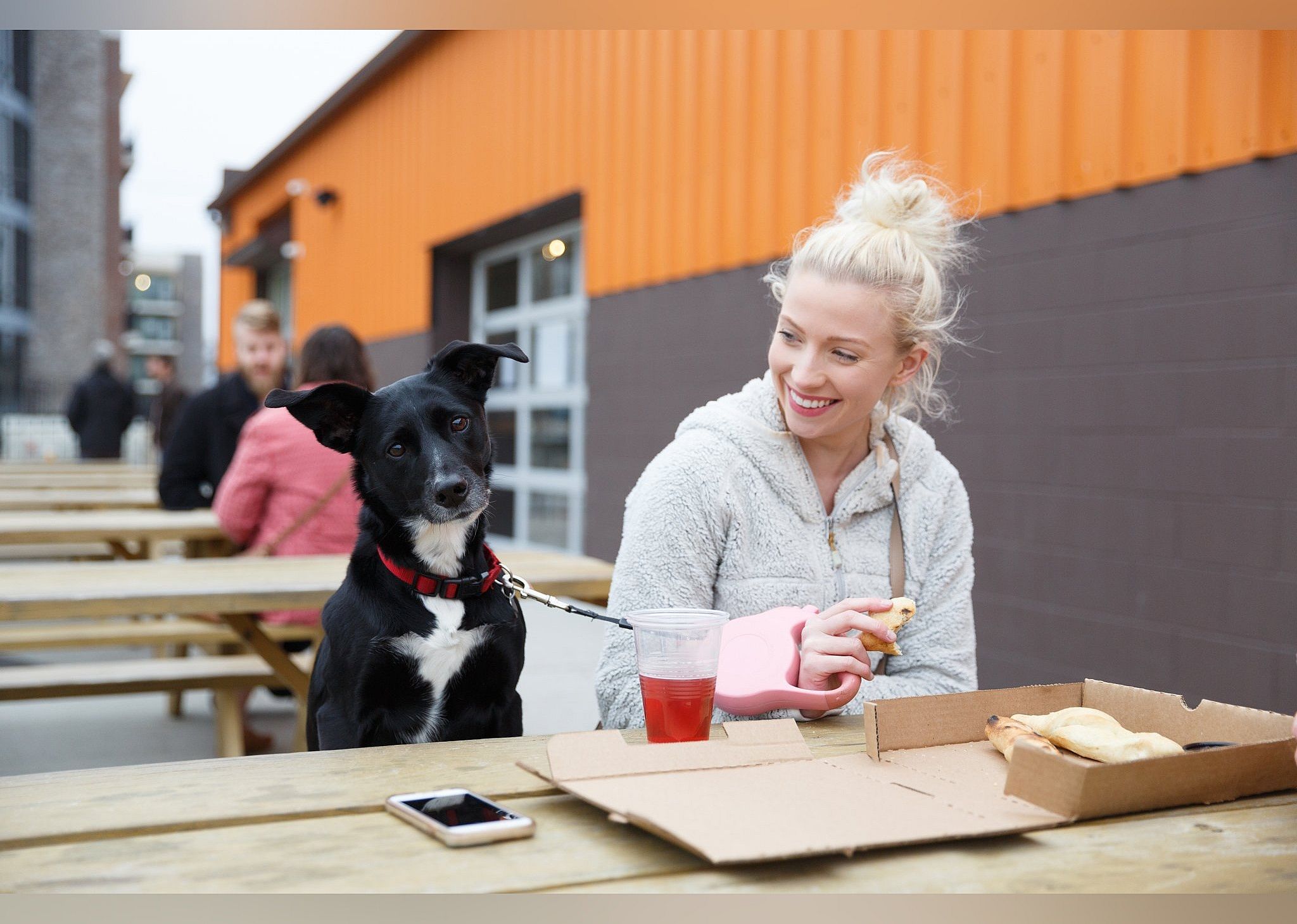 #7. Metazoa Brewing Company