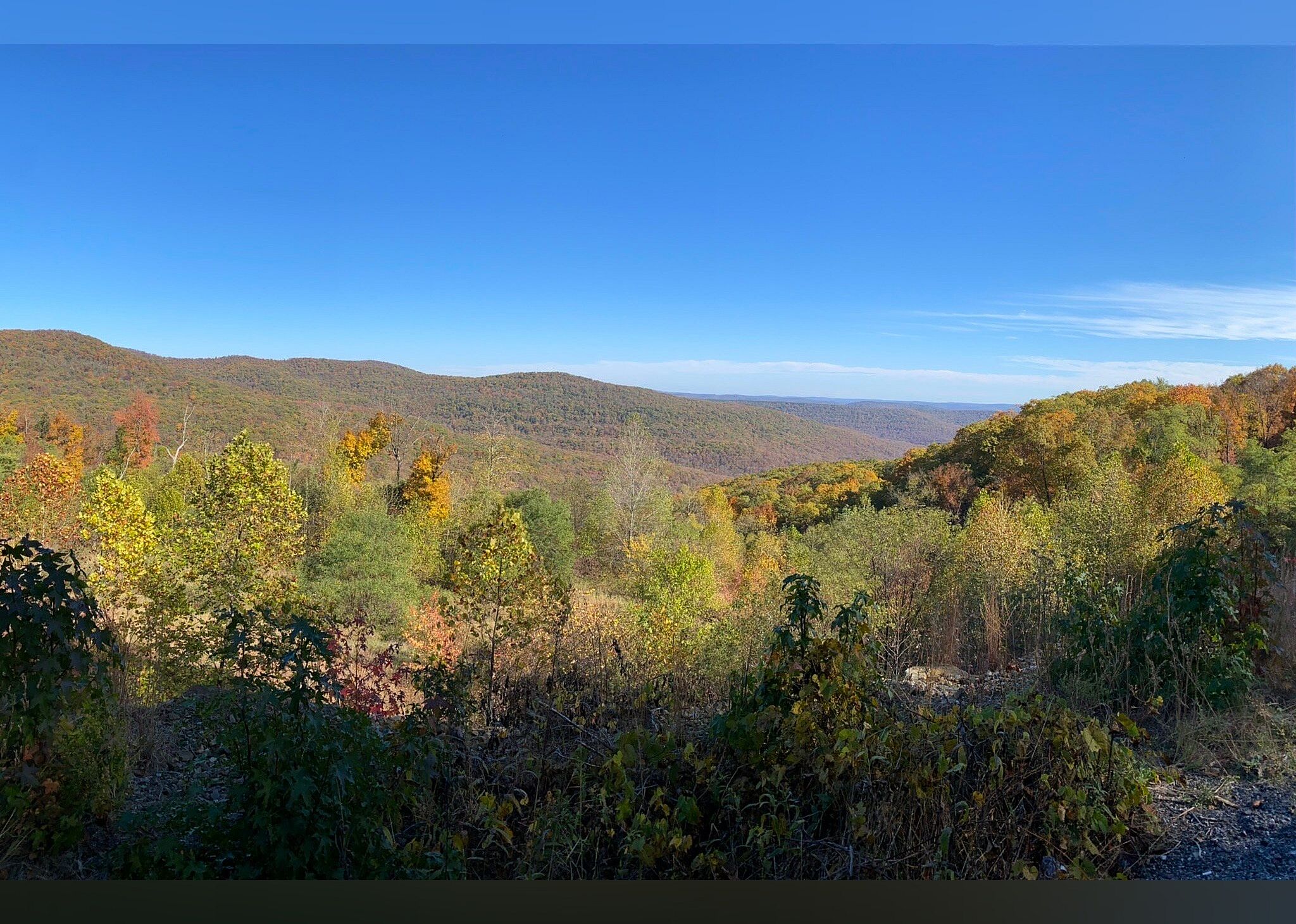 #3. Pig Trail National Scenic Byway