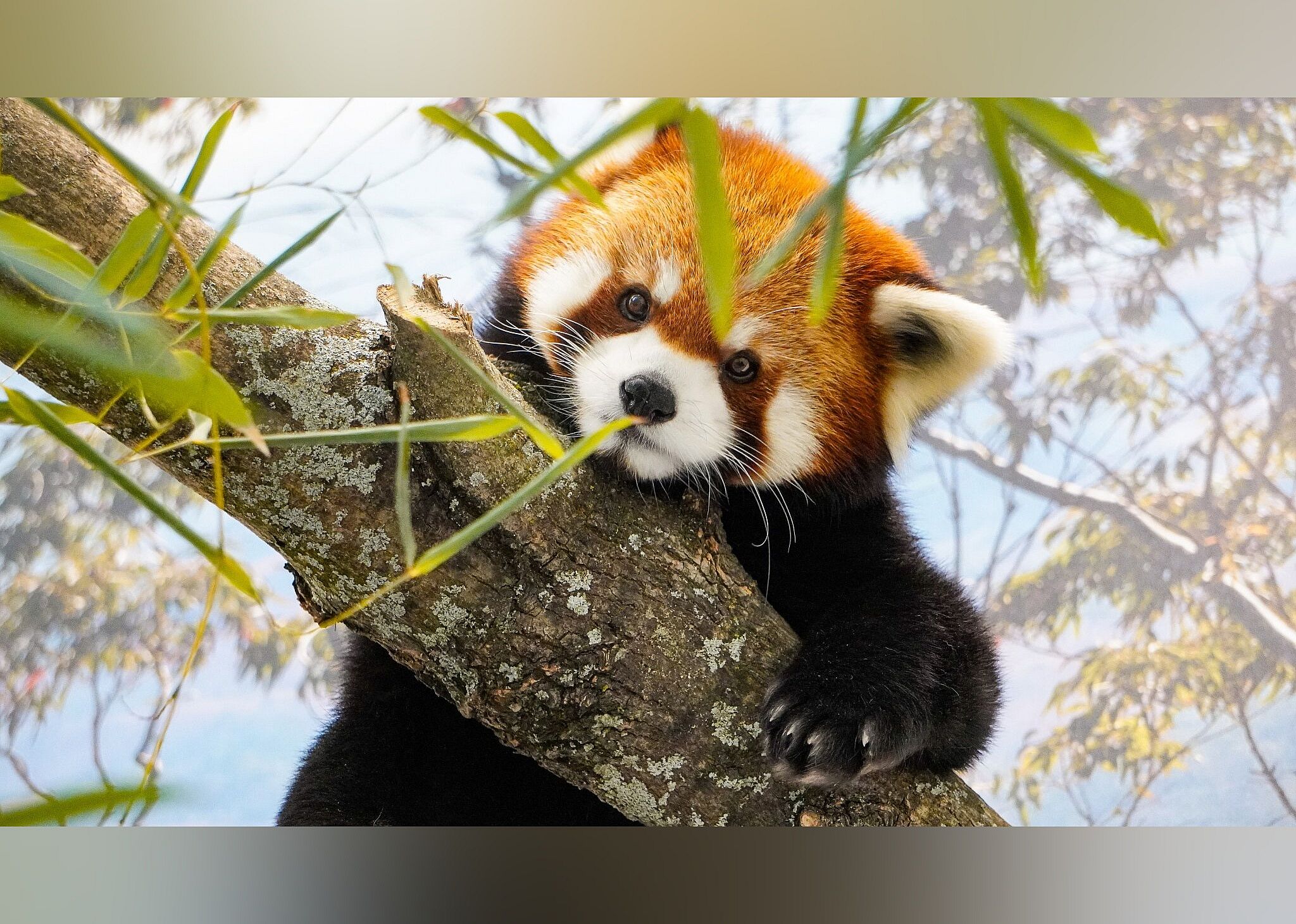 #9. Roger Williams Park Zoo