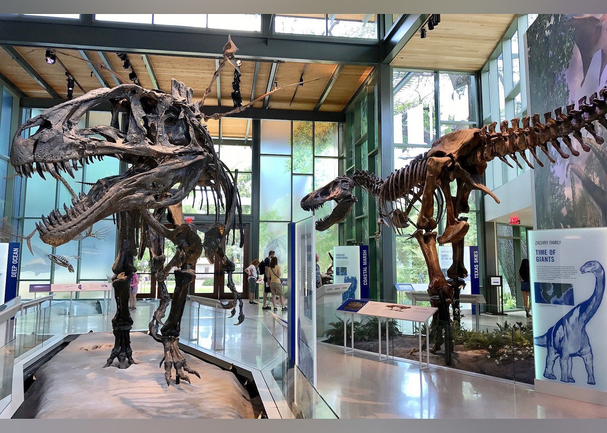 #17. Witte Museum