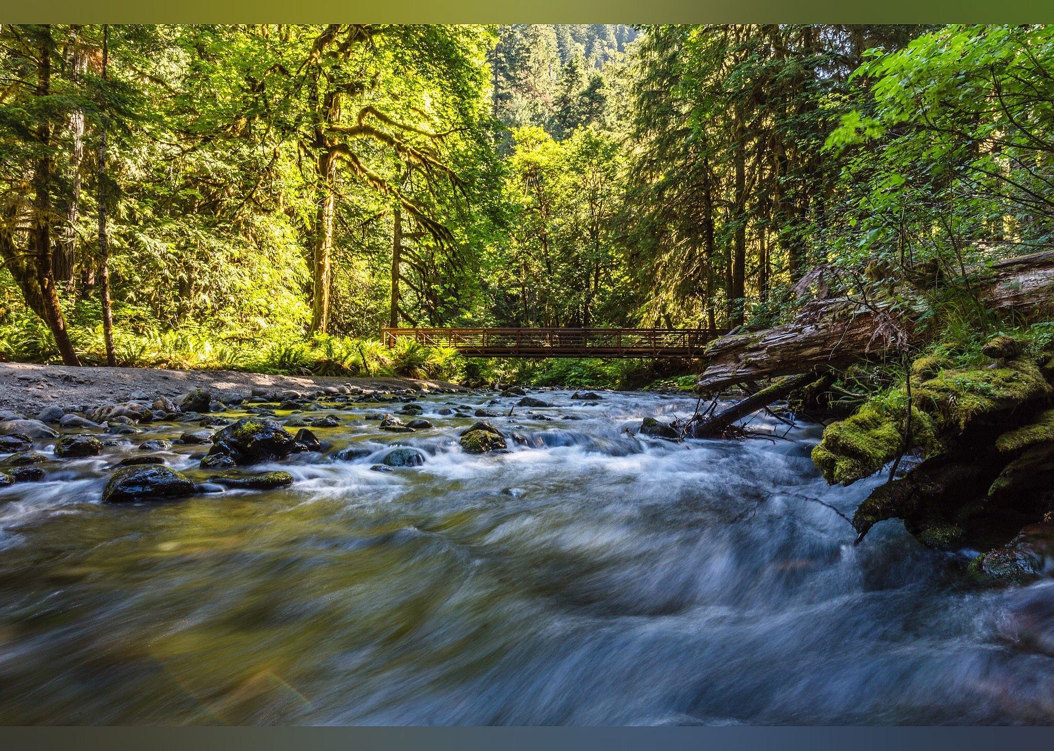 #28. Marymere Falls