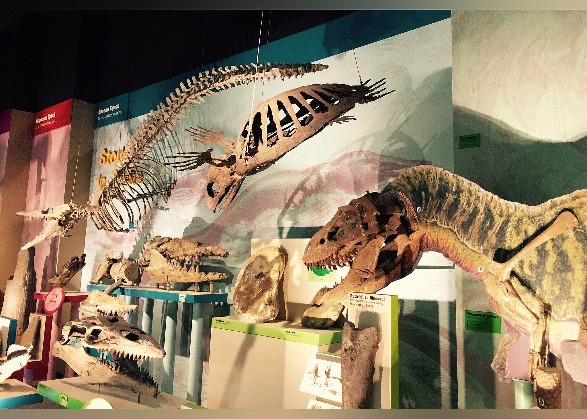 #26. Mississippi Museum of Natural Science