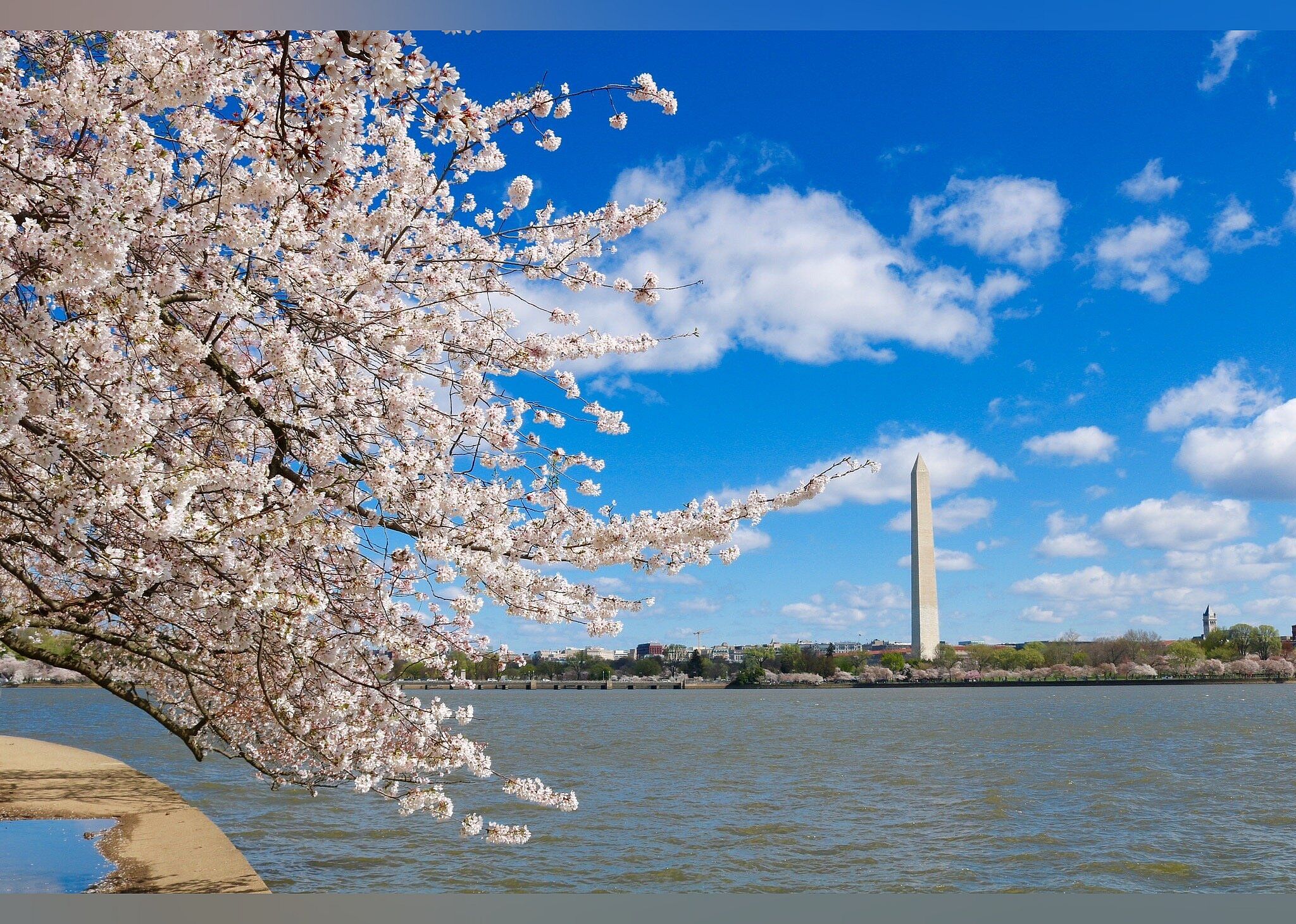 #29. Tidal Basin