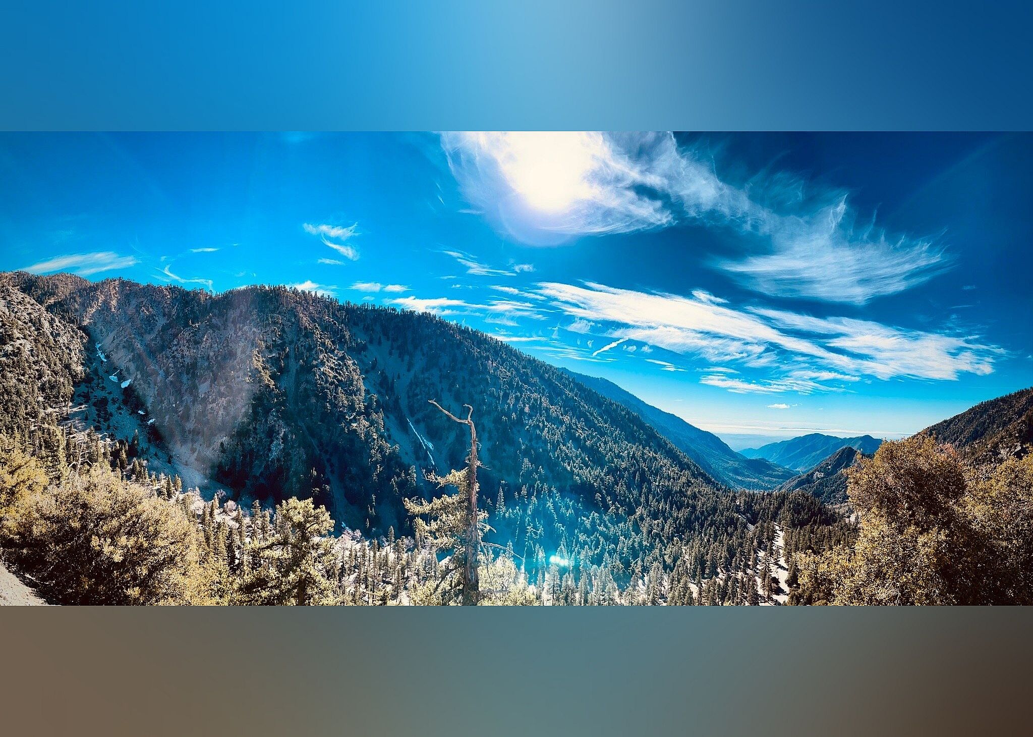 #29. Mt Baldy Road