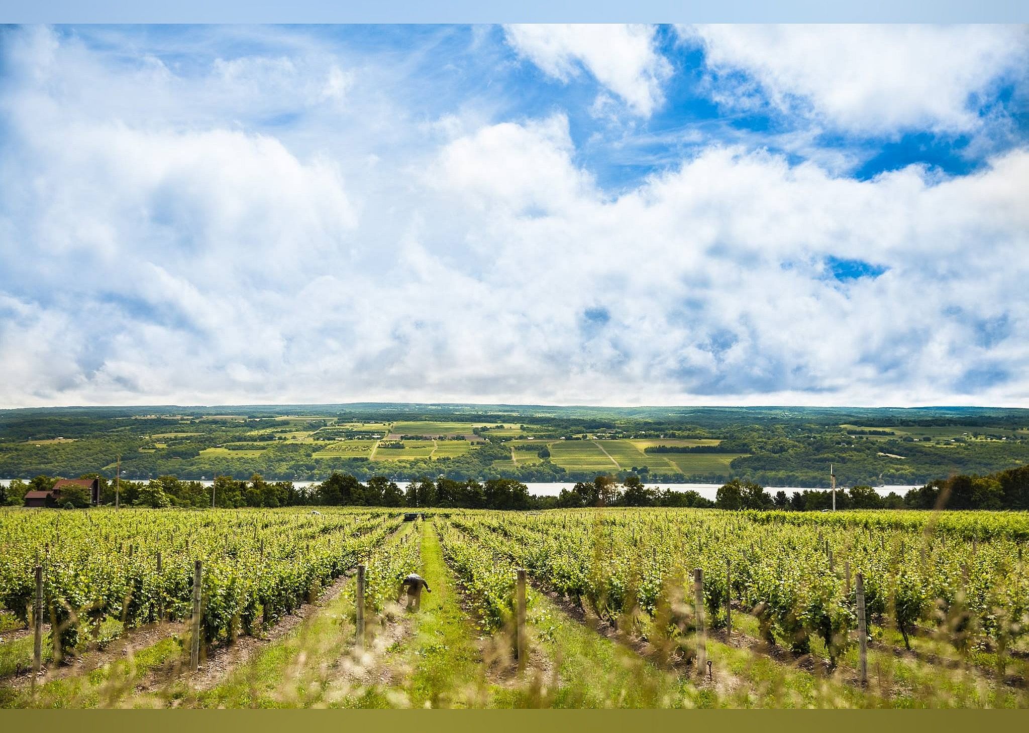 #1. Seneca Lake Wine Trail