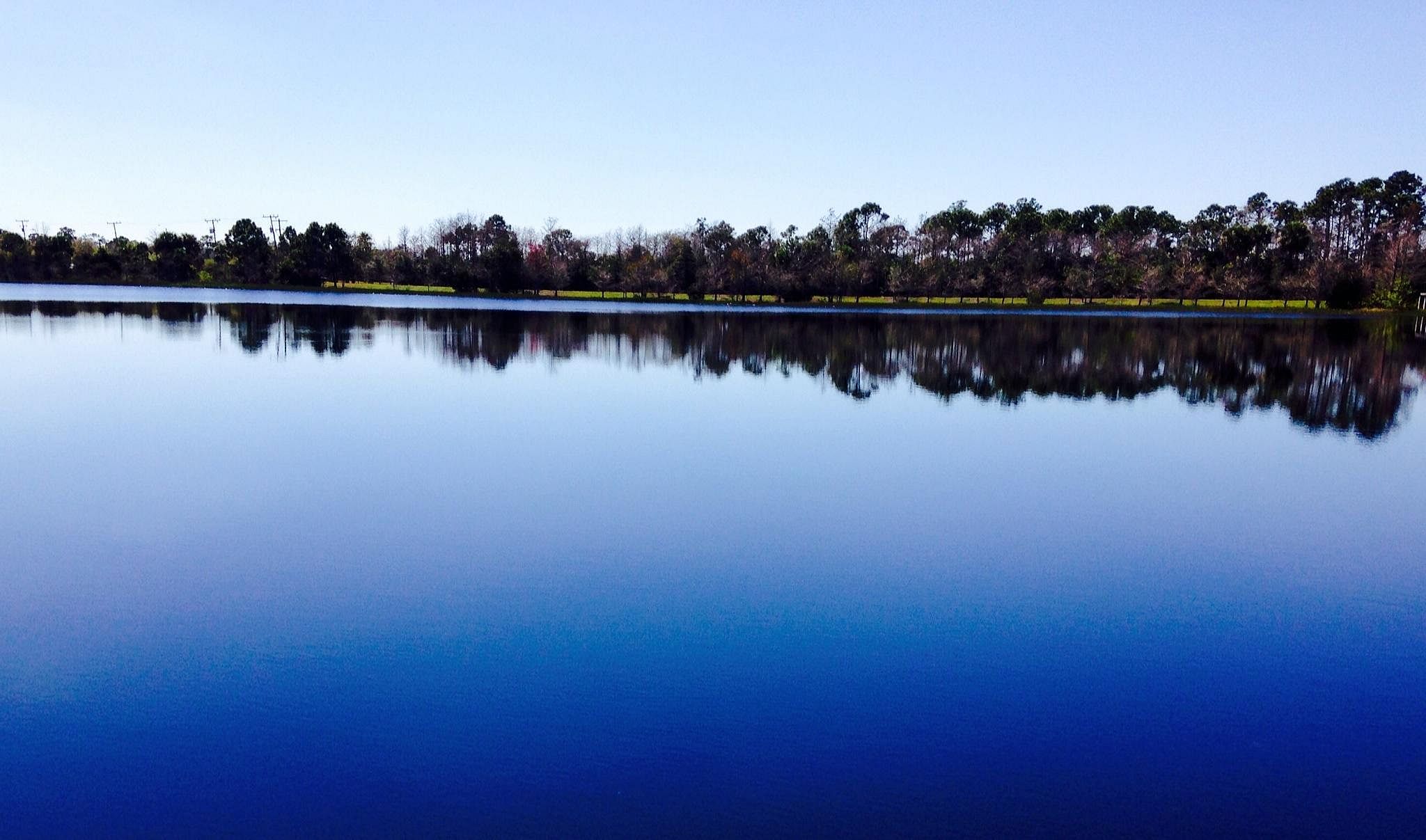 #13. Grassy Waters Nature Preserve