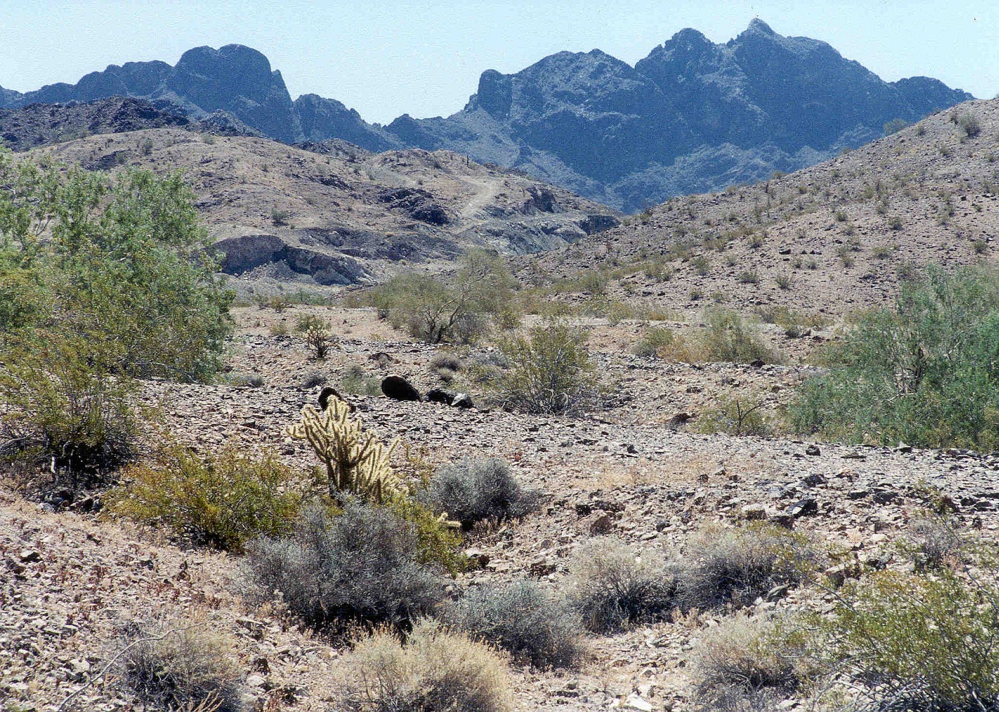 #13. La Paz County
