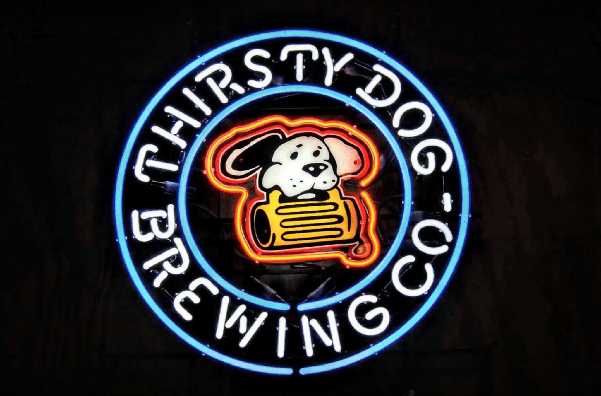 #11. 12 Dogs Of Christmas Ale