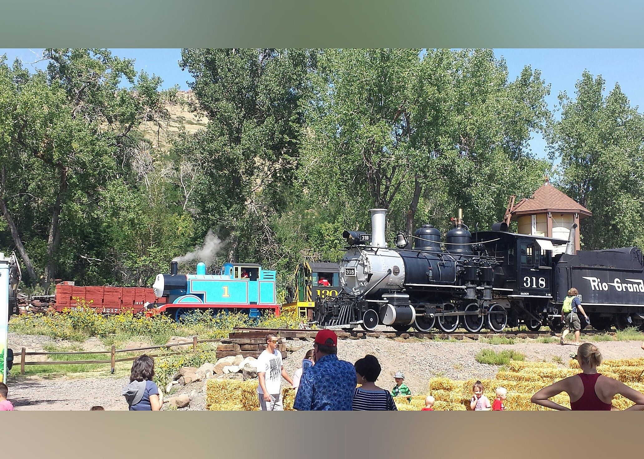 #11. Colorado Railroad Museum