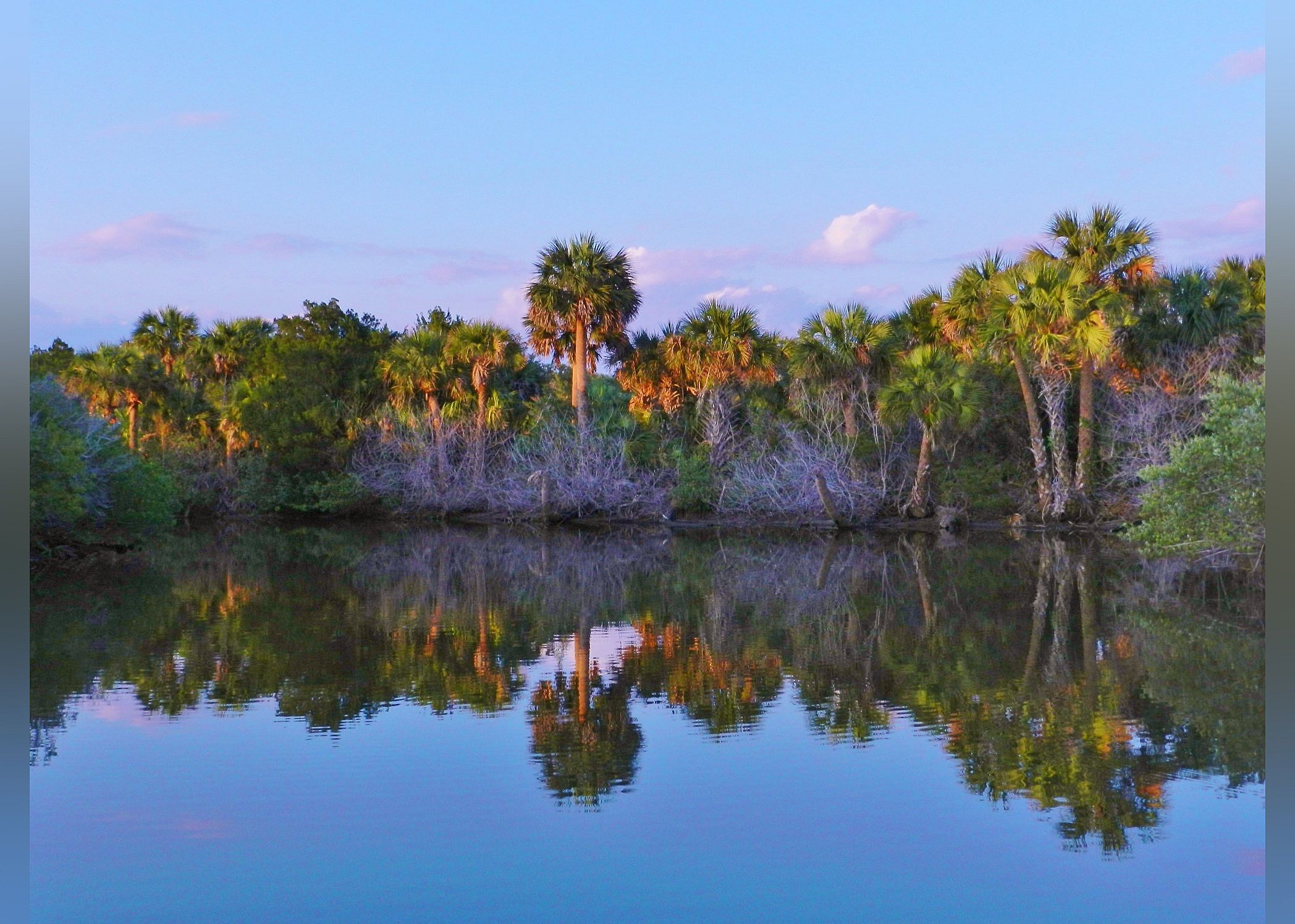 #4. Ormond Scenic Loop & Trail