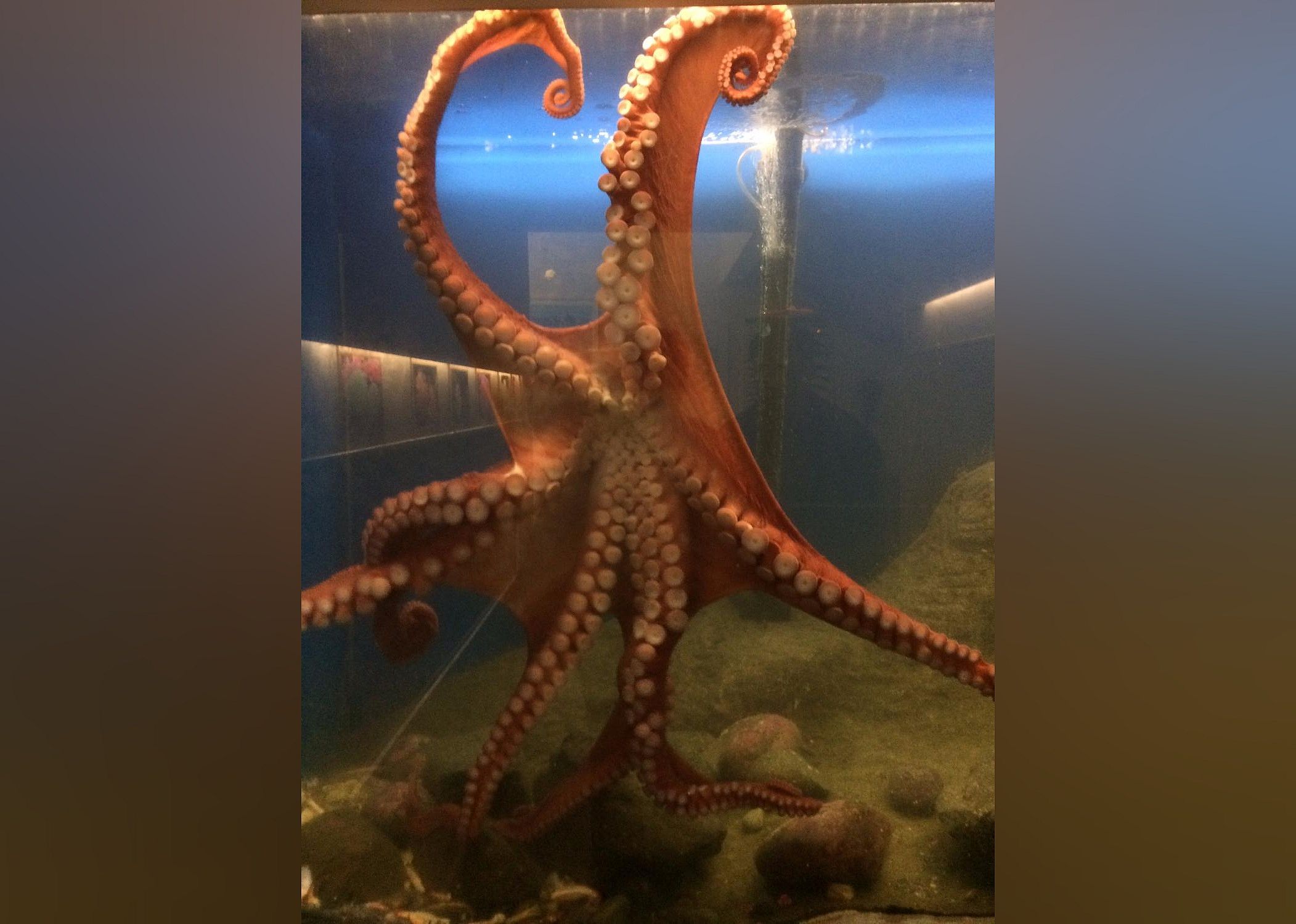 #20. Feiro Marine Life Center