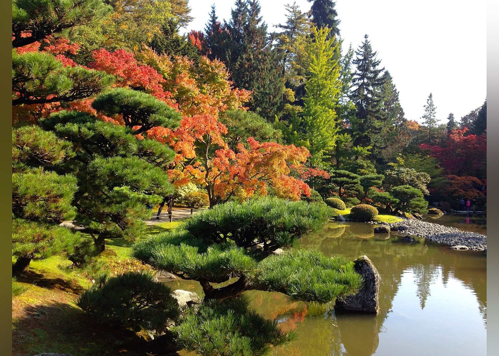 #29. Washington Park Arboretum