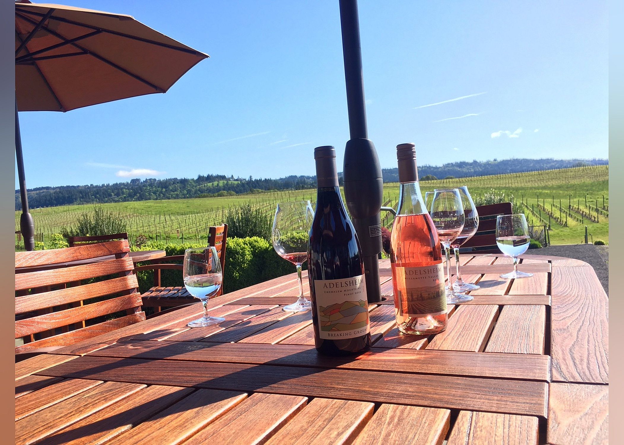#30. Adelsheim Vineyard