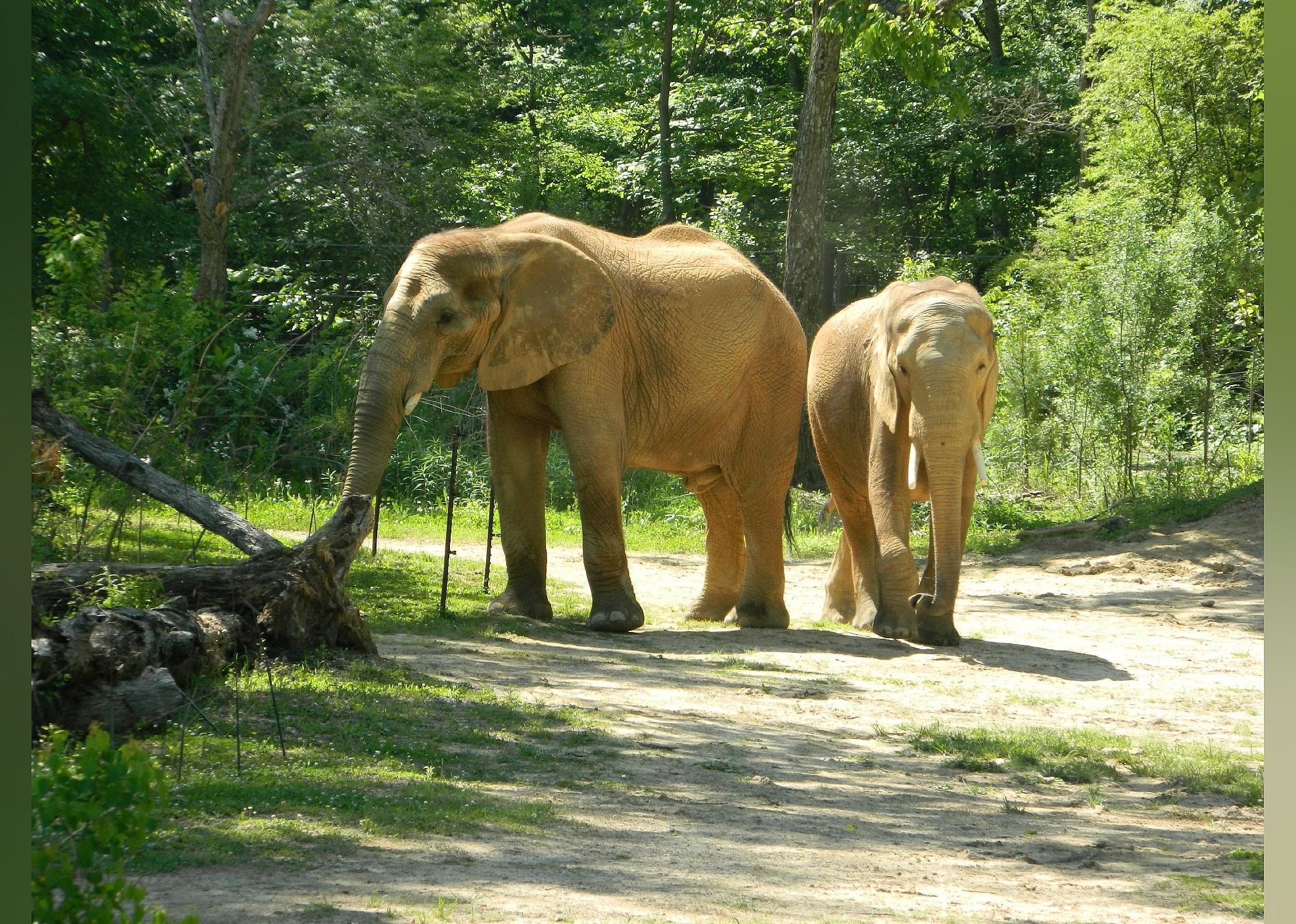 #27. Birmingham Zoo