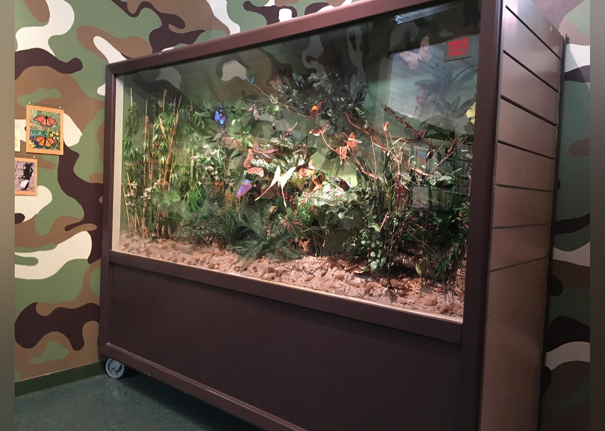 #10. Insectropolis, the Bugseum of New Jersey