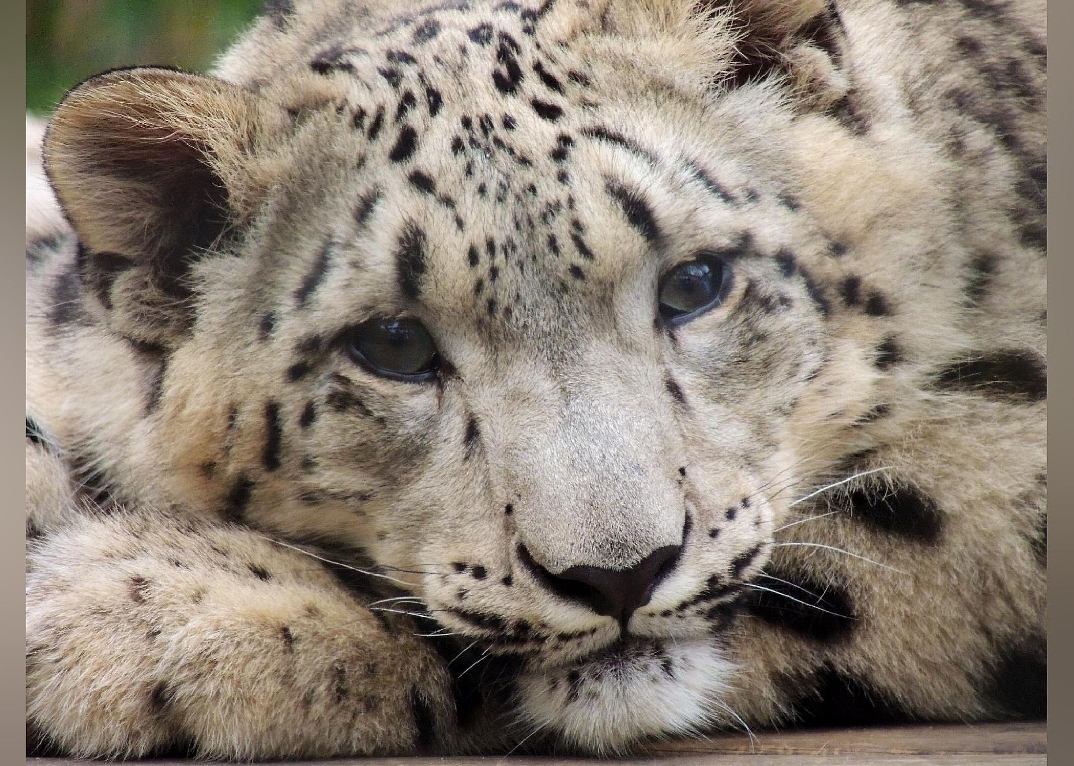 #8. Cape May County Park & Zoo