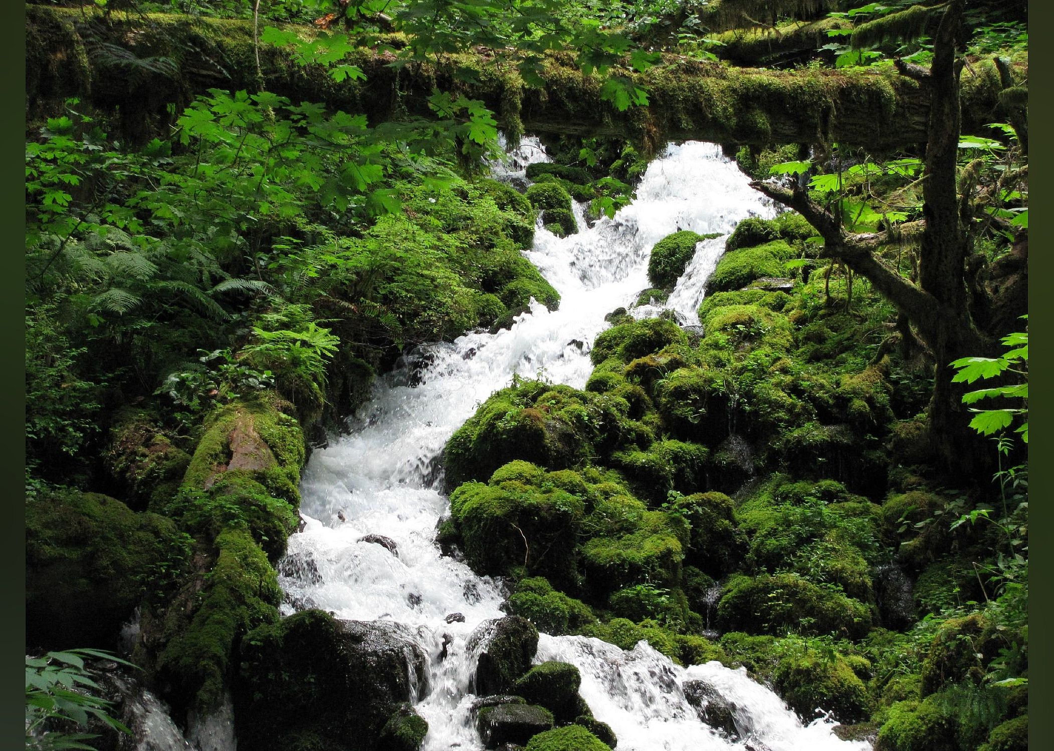 #13. Columbia River Gorge National Scenic Area