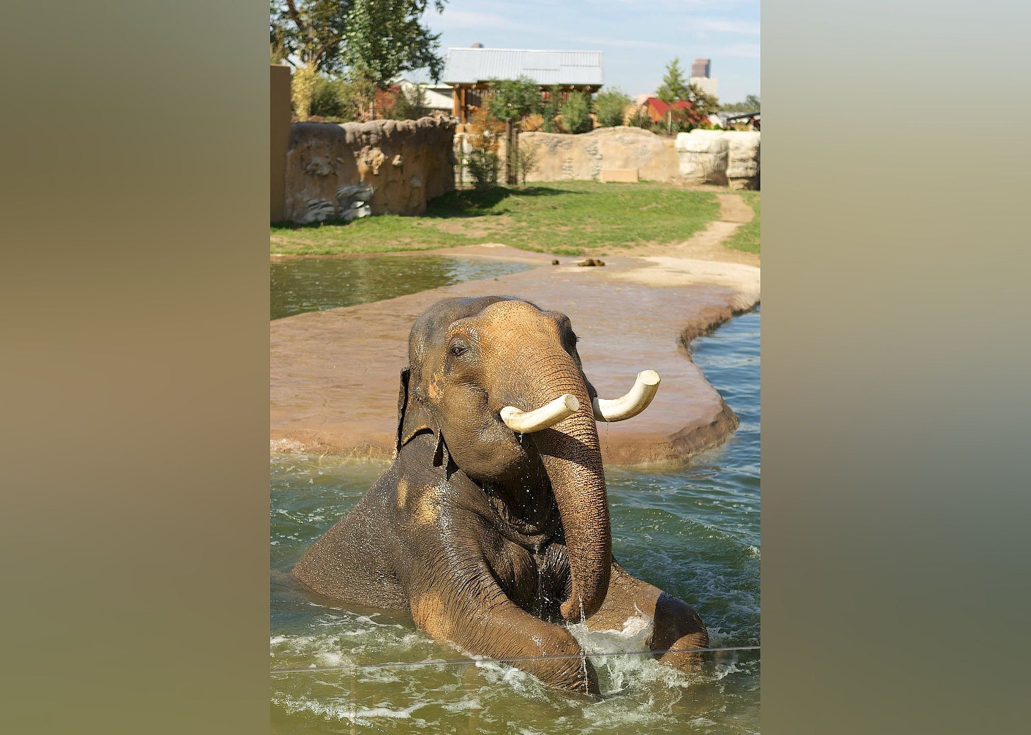 #16. Denver Zoo