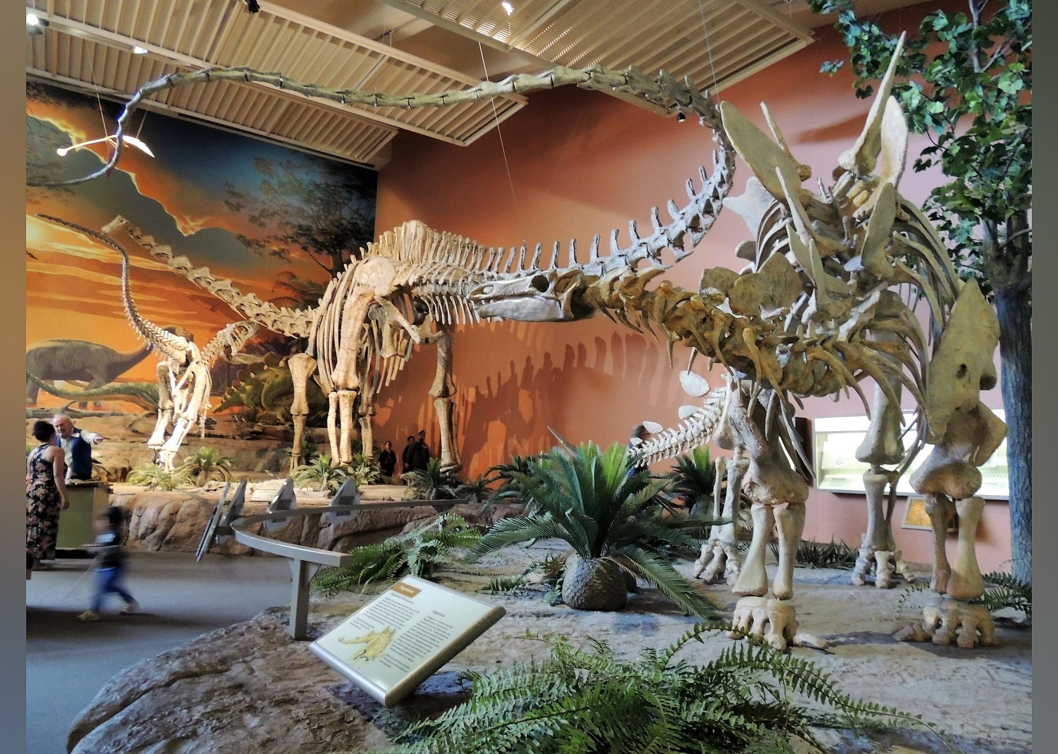 #11. New Mexico Museum of Natural History and Science