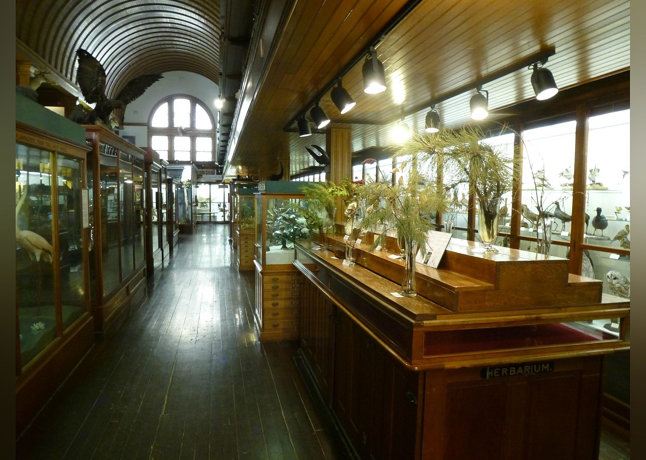 #8. Fairbanks Museum and Planetarium