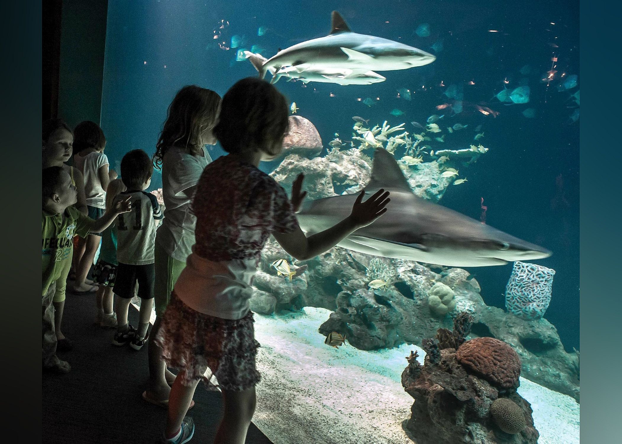 #27. Greensboro Science Center