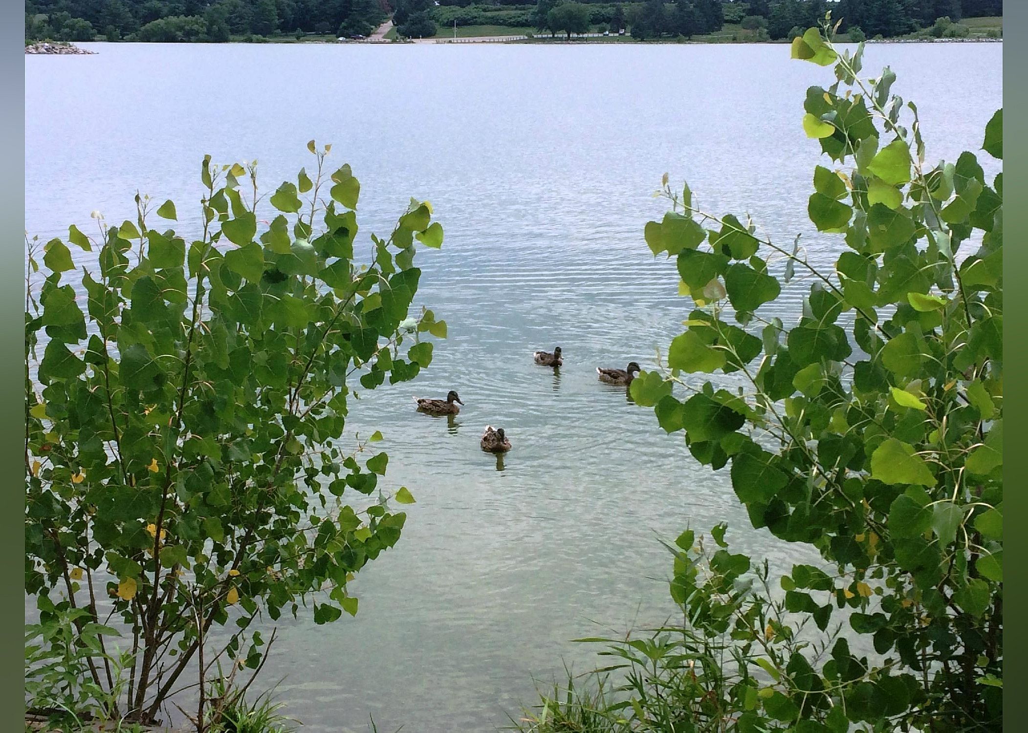 #23. Holmes Park & Lake