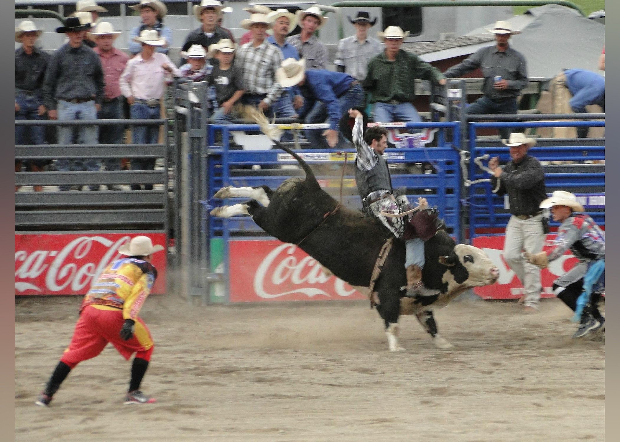 #20. Jackson Hole Rodeo