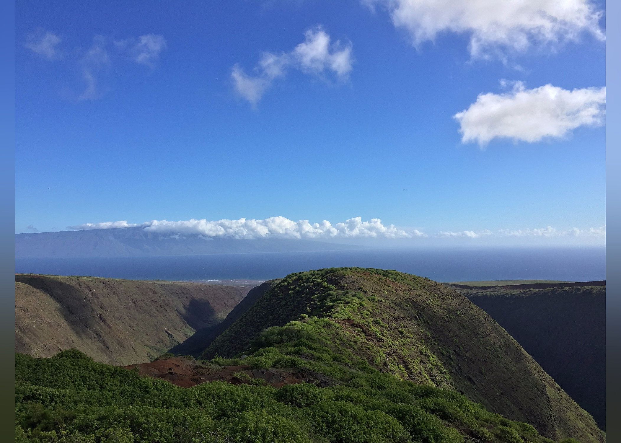 #16. Koloiki Ridge Trailhead