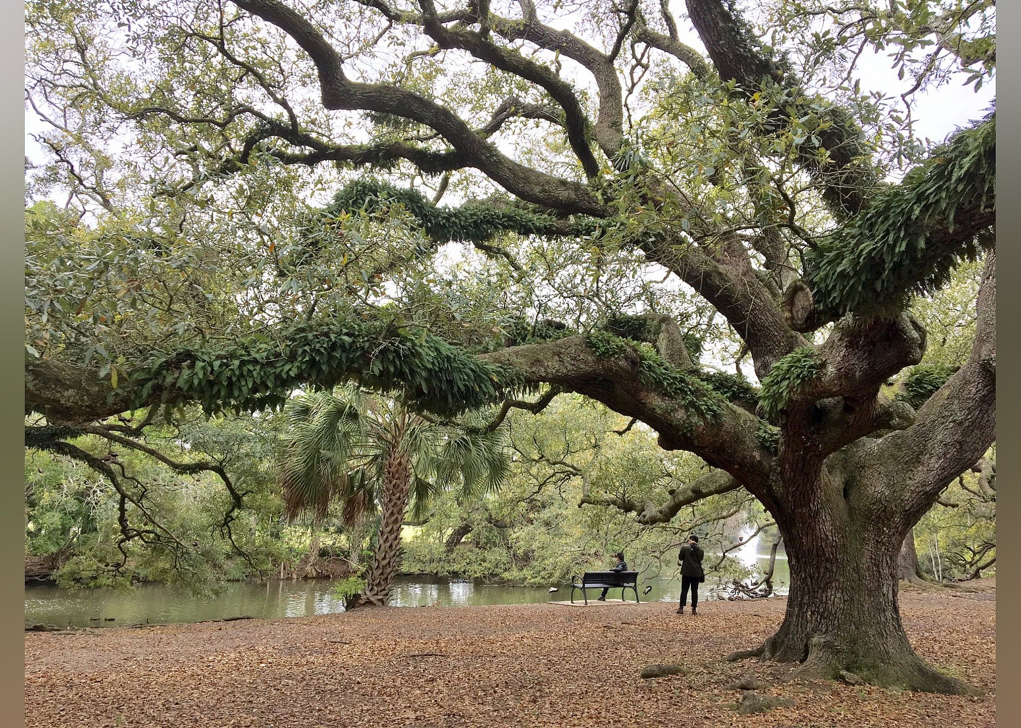 #19. Audubon Park
