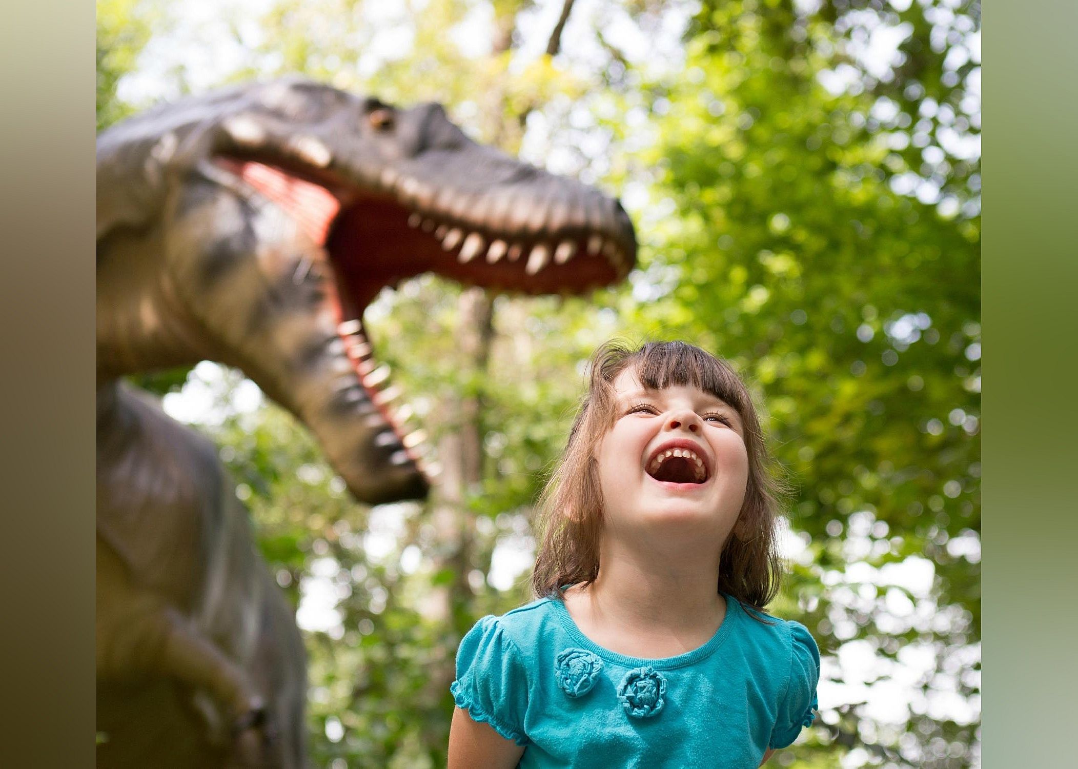 #25. Museum of Life + Science