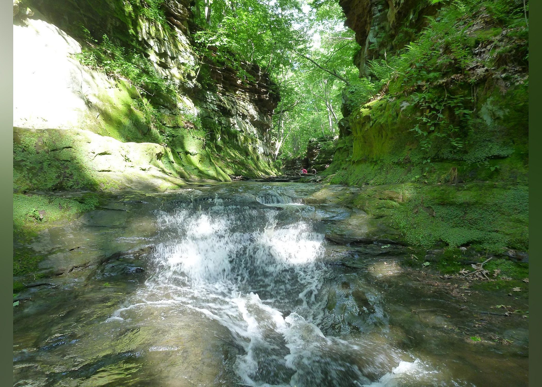 #28. Pewit's Nest Gorge
