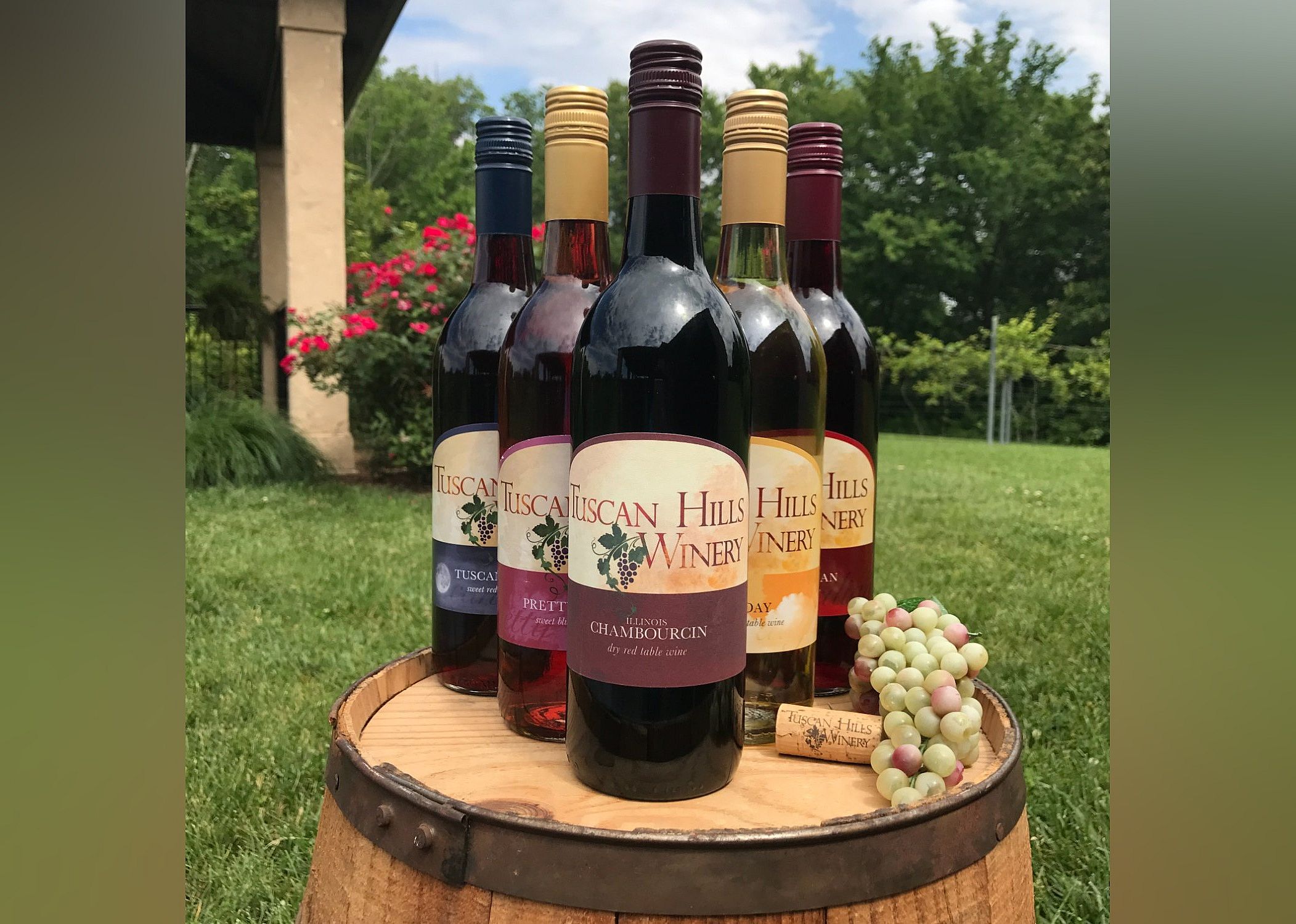 #5. Tuscan Hills Winery